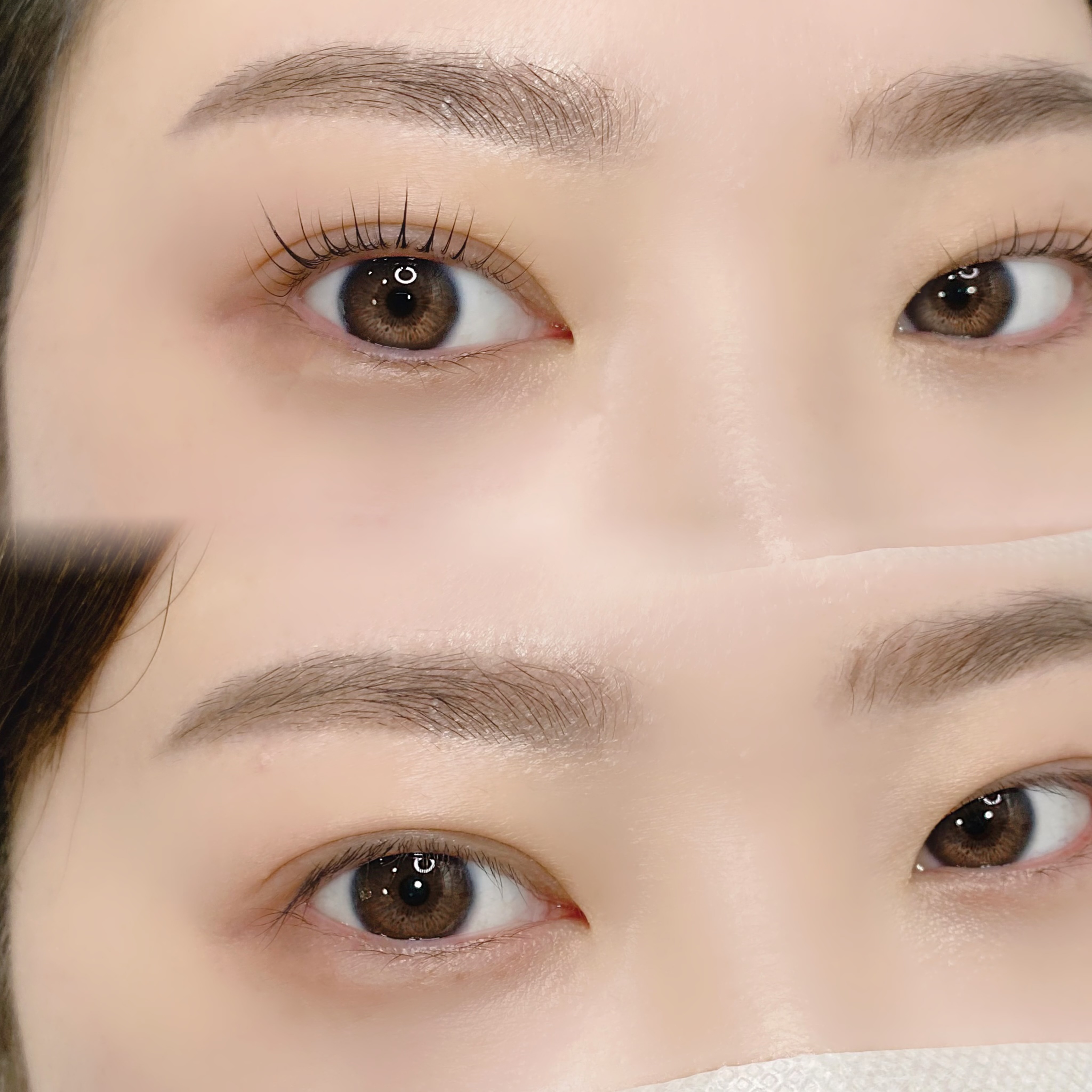 꽃누니속눈썹