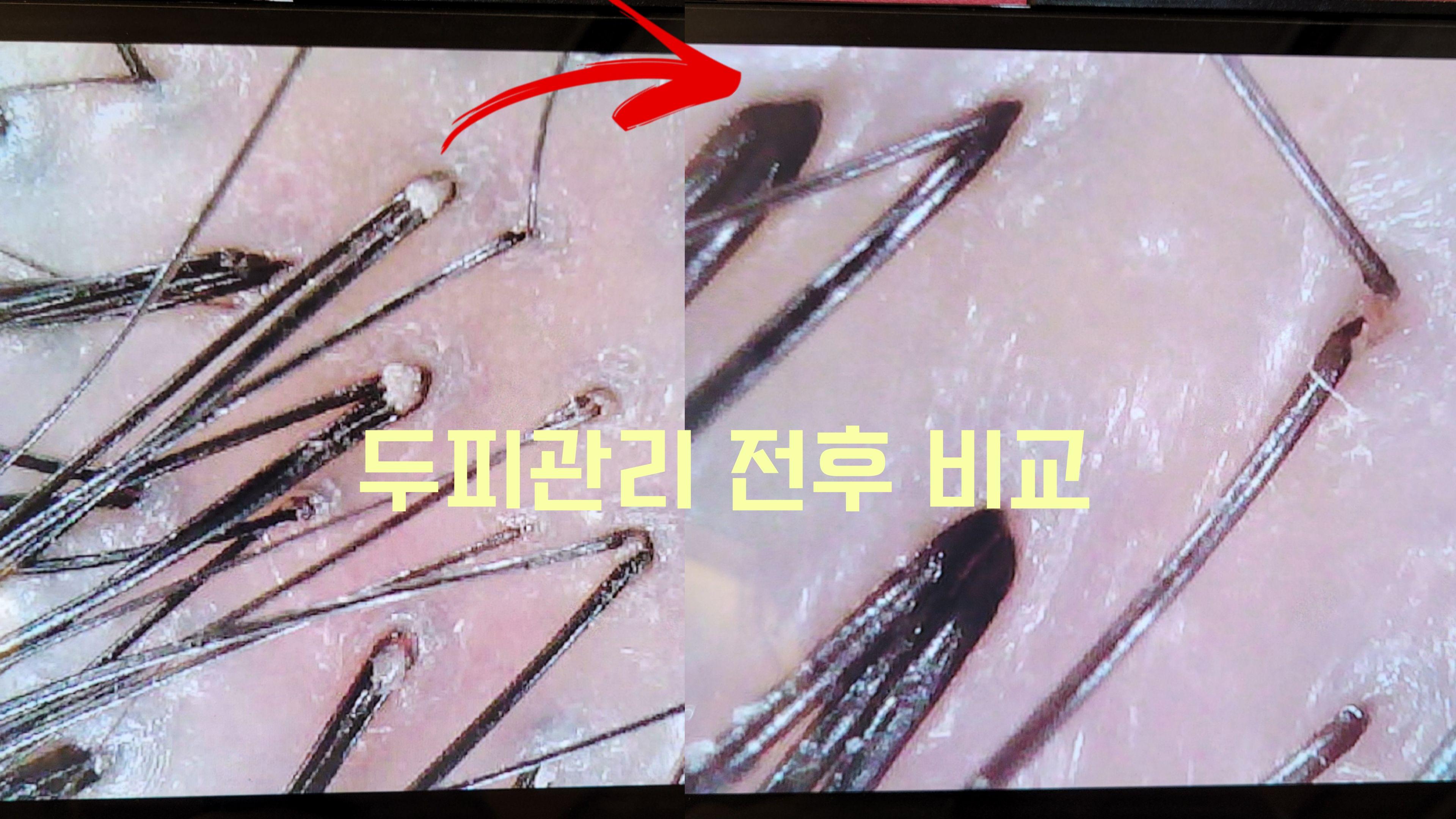 네오나오 신림역점