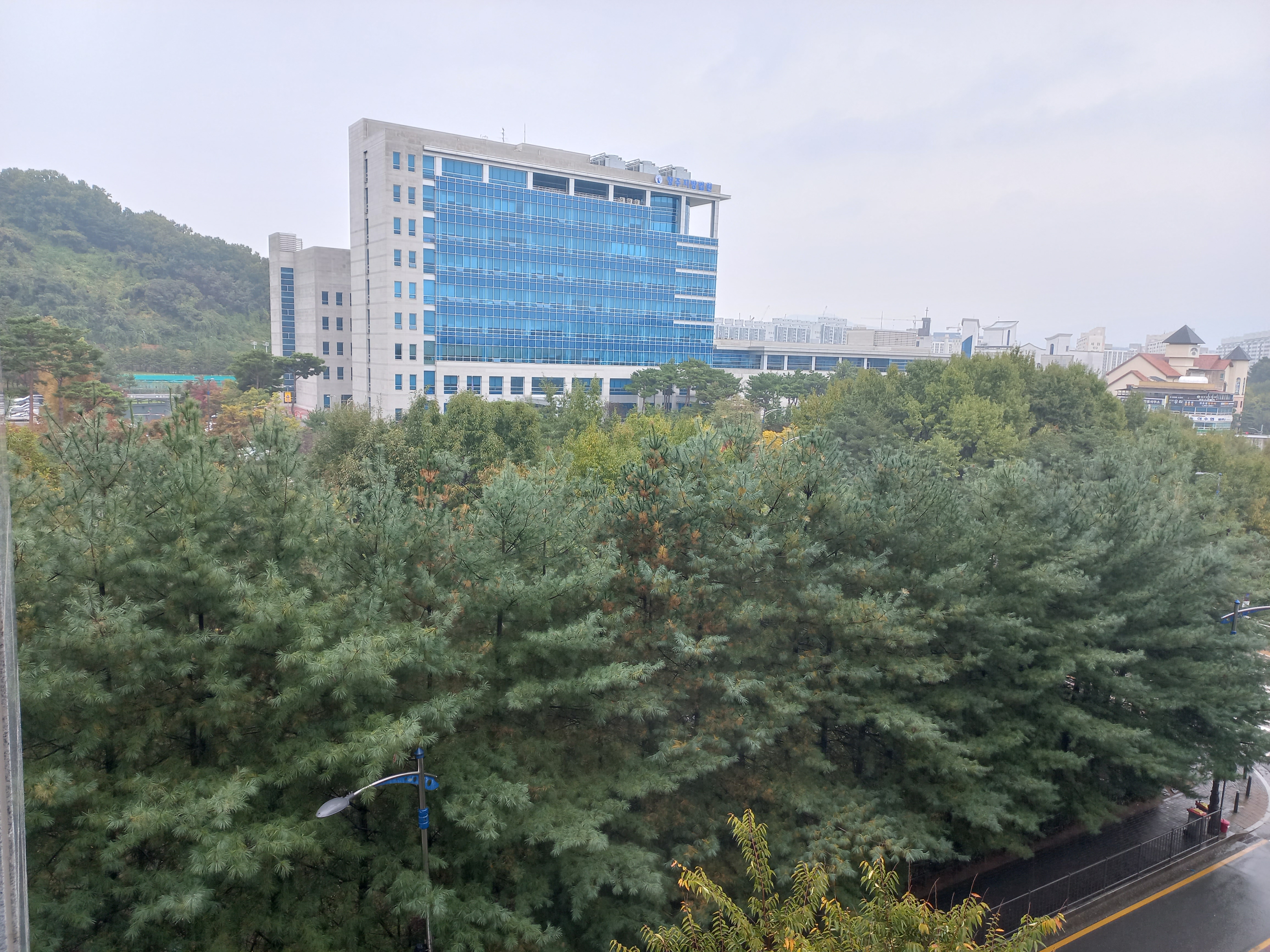 삼성법률경매학원