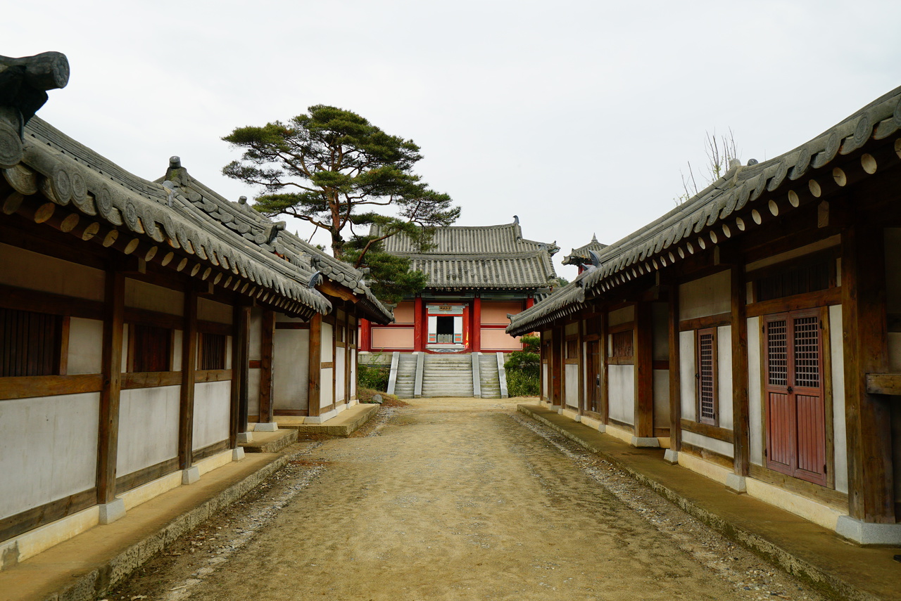 라이프월드투어