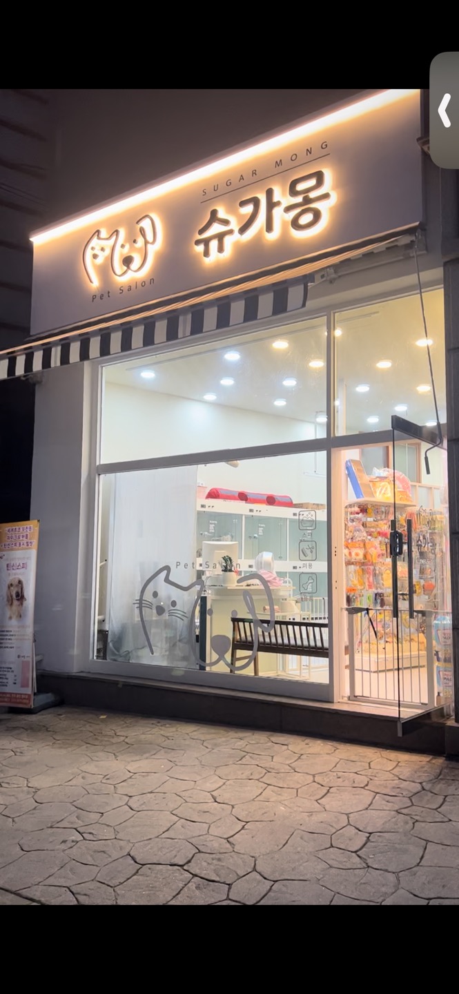 슈가몽 대표 이미지