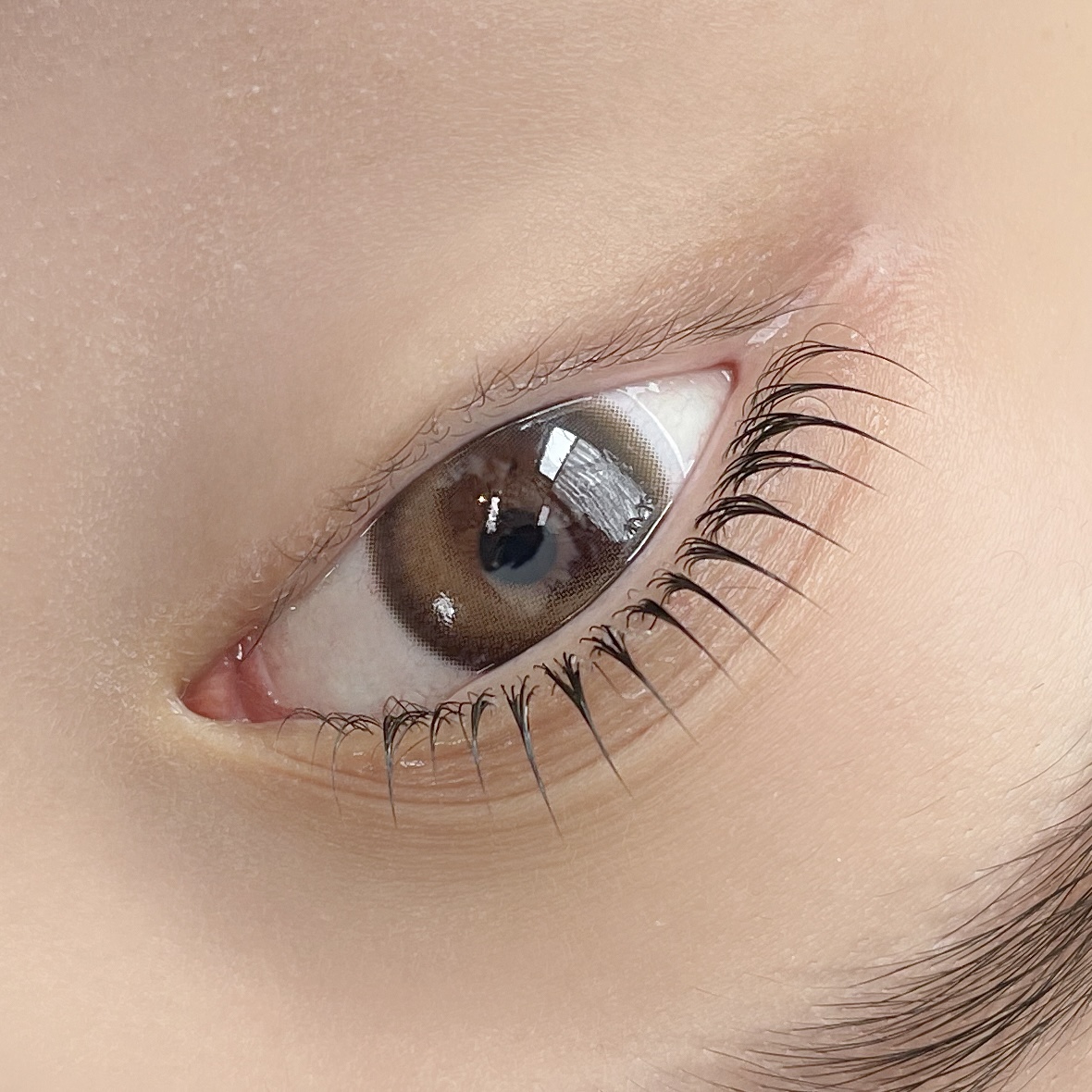 가드닝브로우 대표 이미지