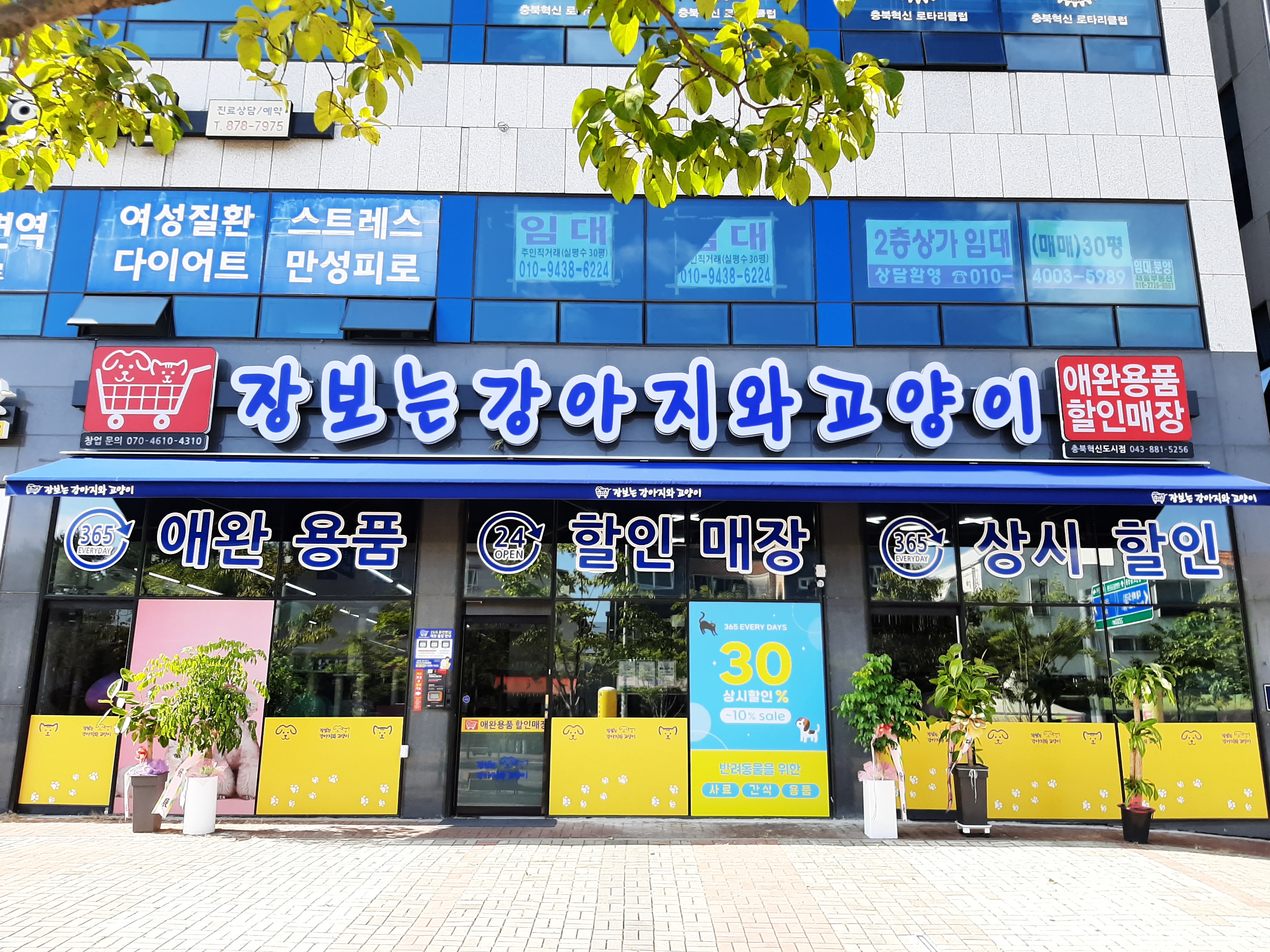 장보는강아지와고양이 대표 이미지