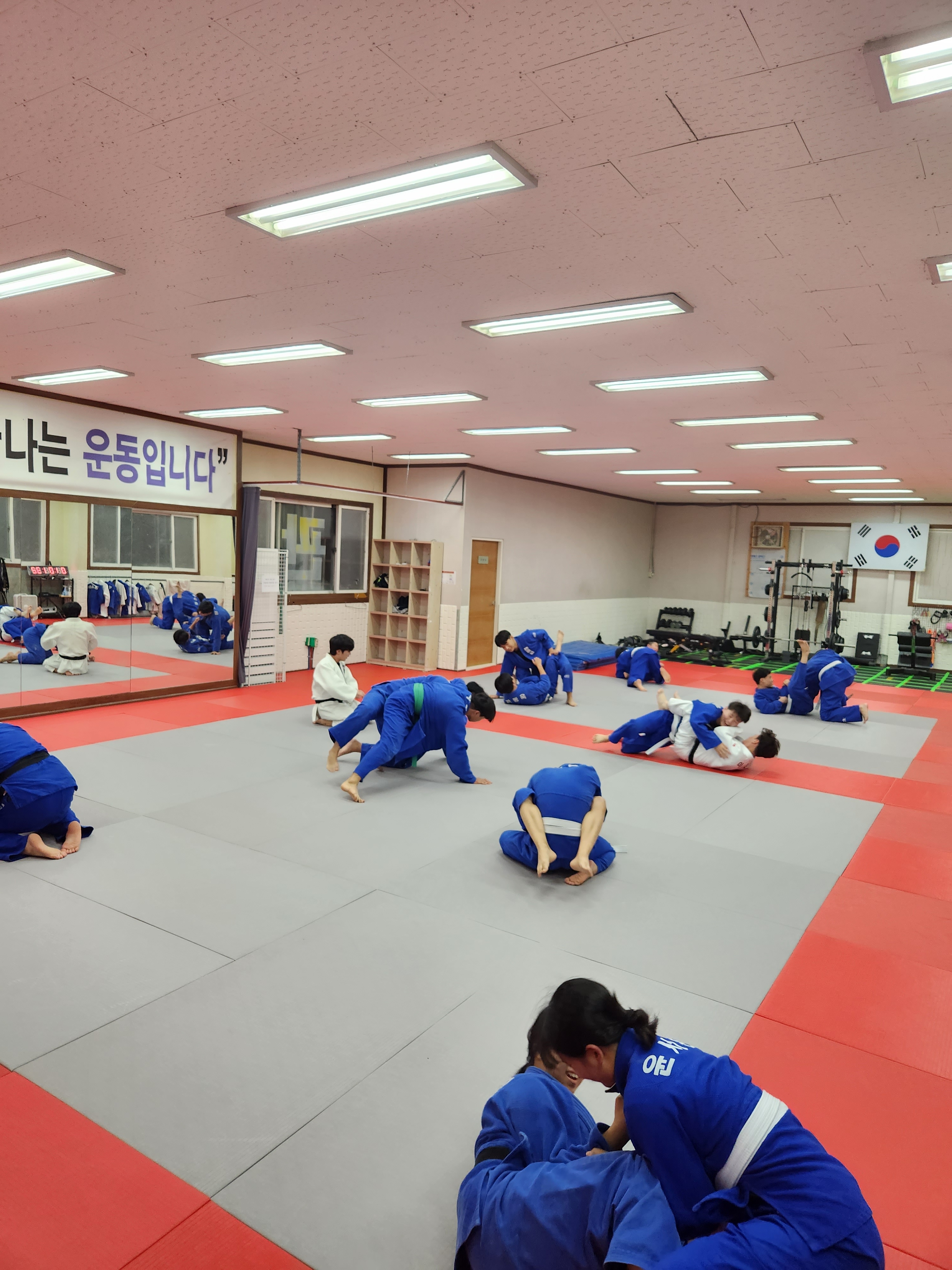 용인대정진유도교실 화원관