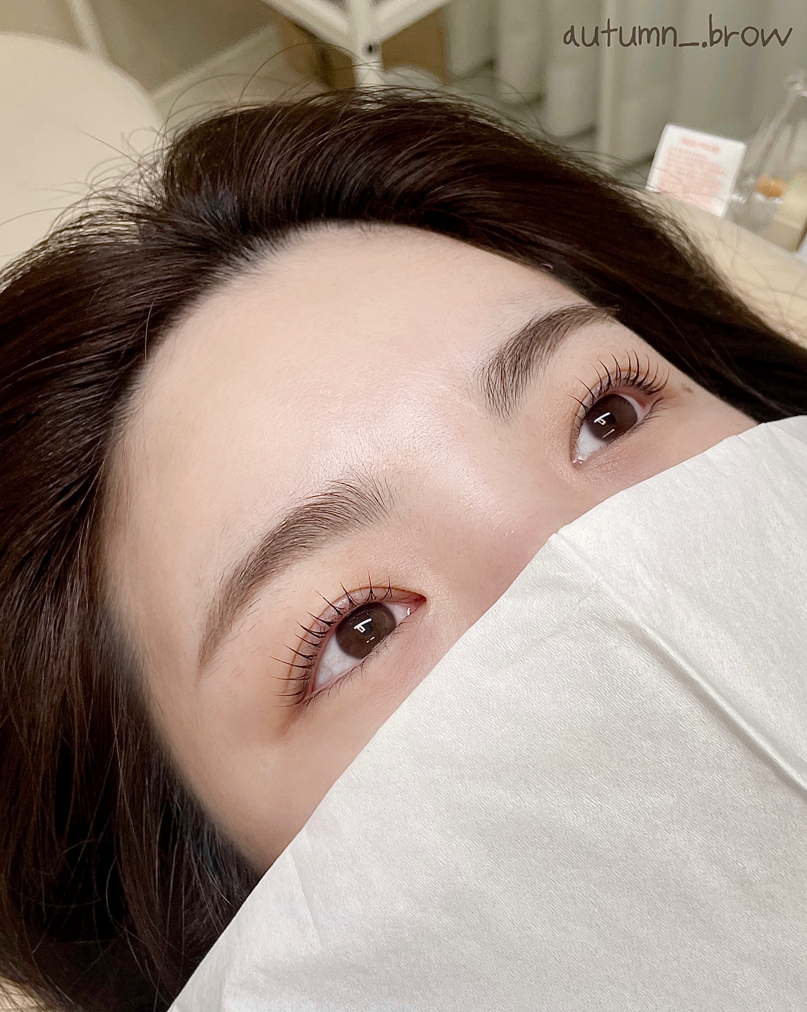 어텀브로우