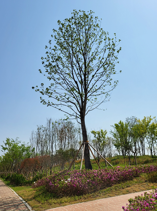 부자조경