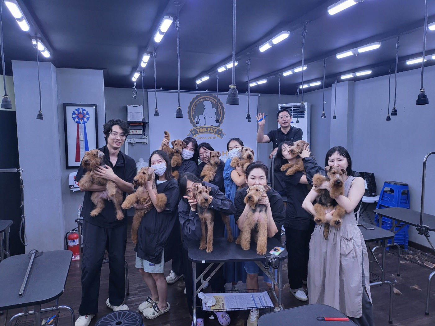 유병환애견미용학원 대표 이미지