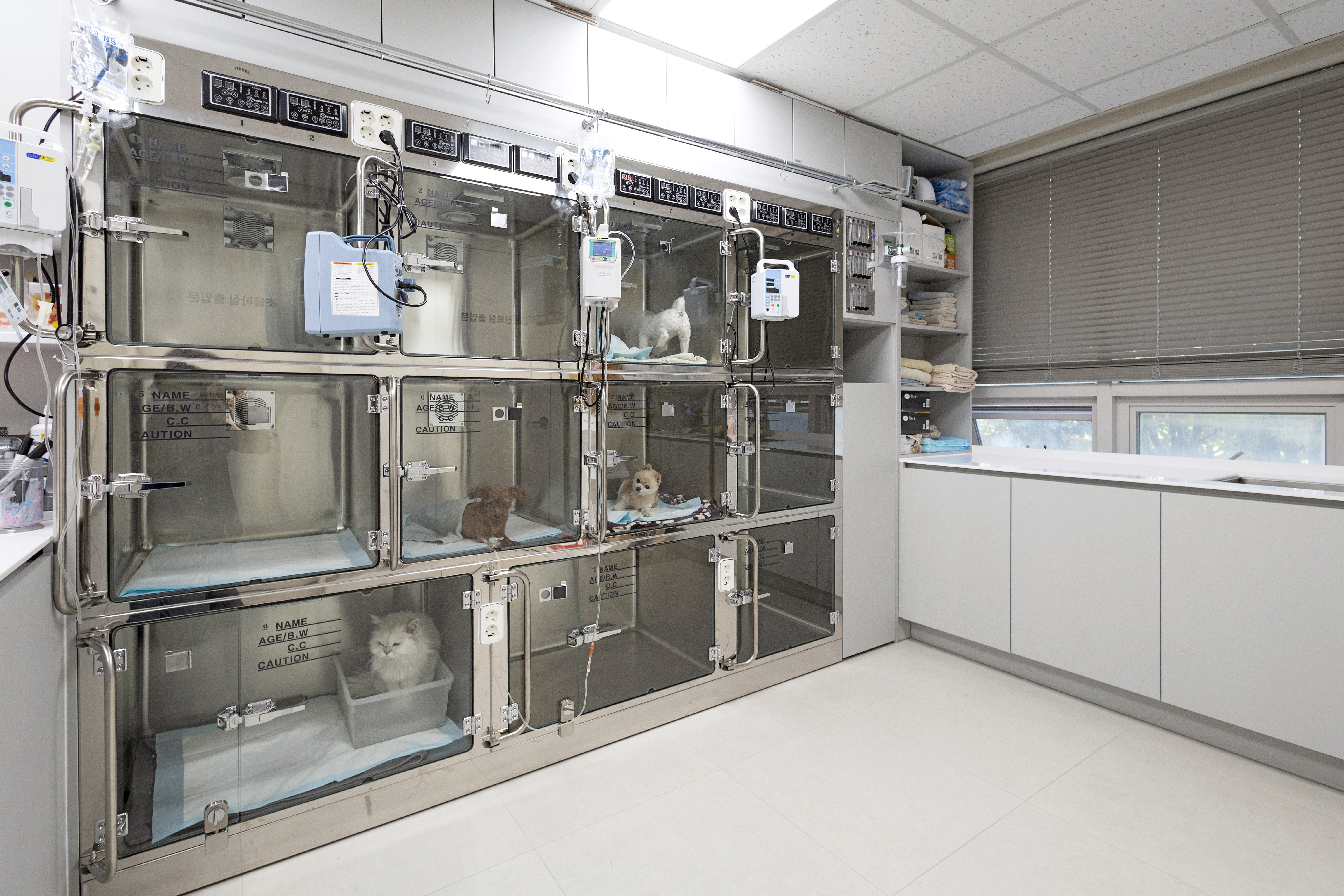 월드펫동물병원 대표 이미지