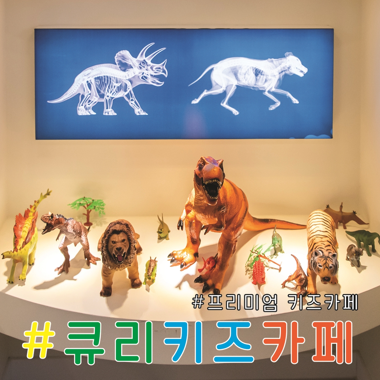 큐리키즈카페 안성점