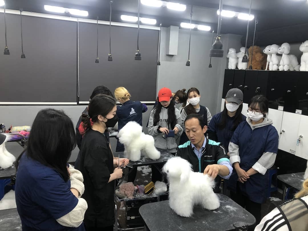 유병환애견미용학원 대표 이미지