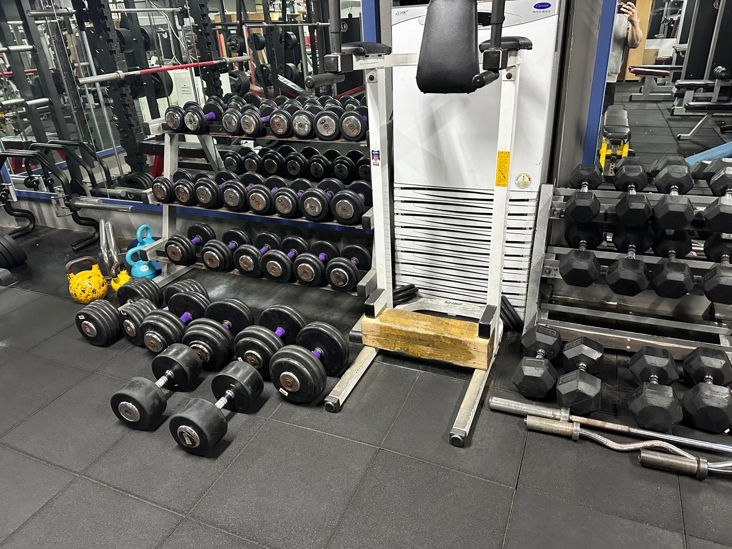 골든헬스 대표 이미지