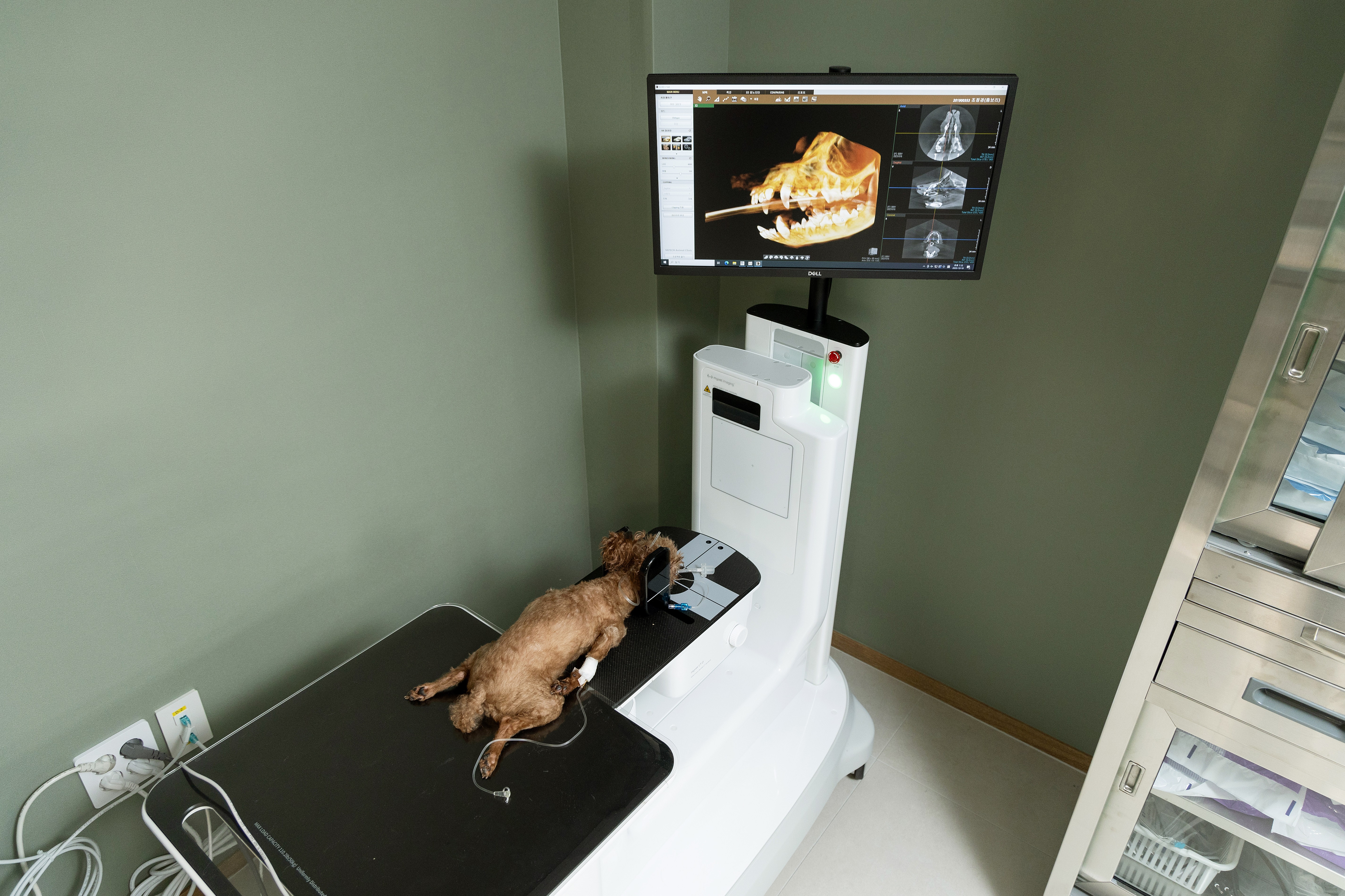 월드펫동물병원 대표 이미지