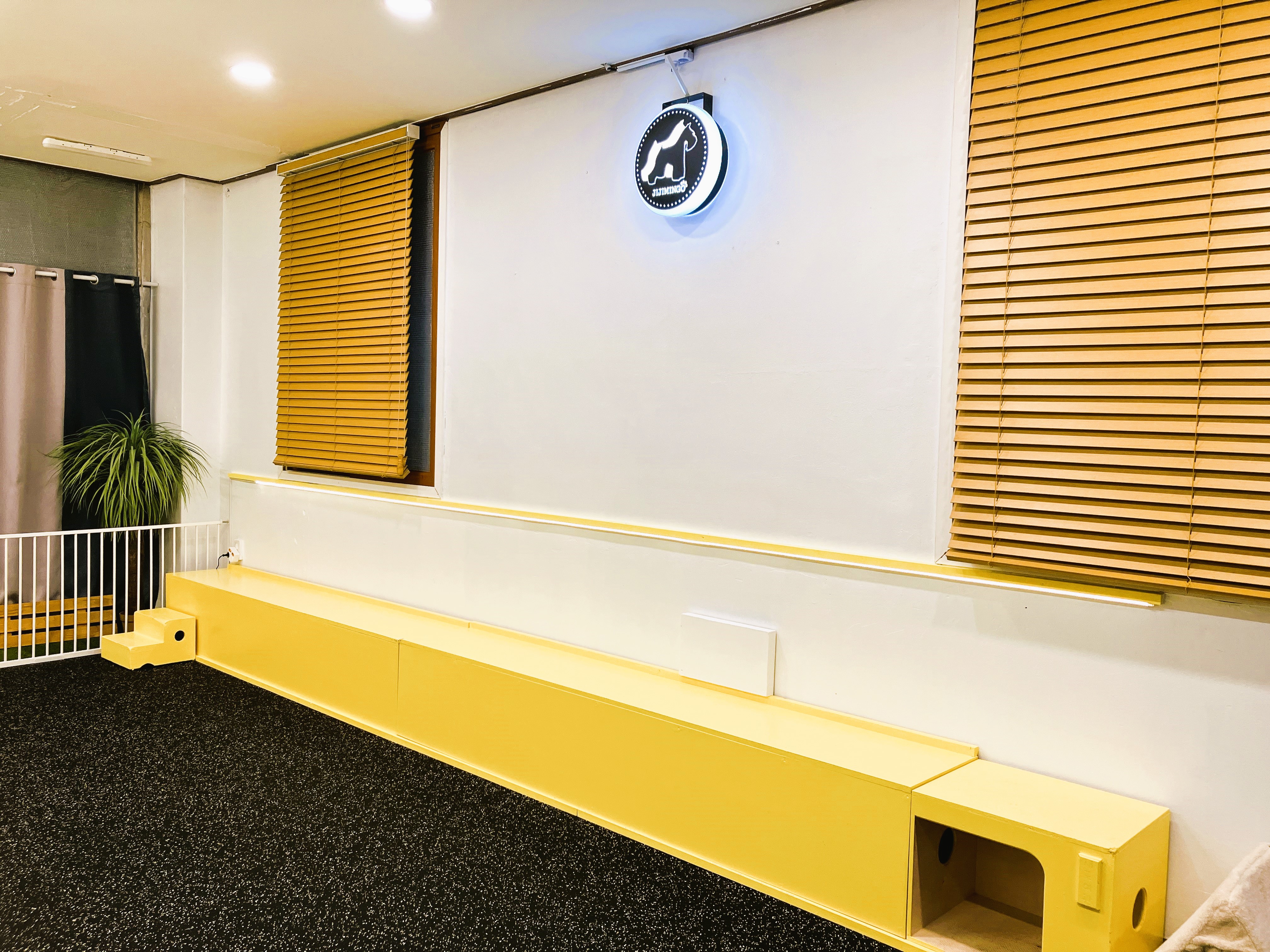 애견호텔 지지밍고 대표 이미지