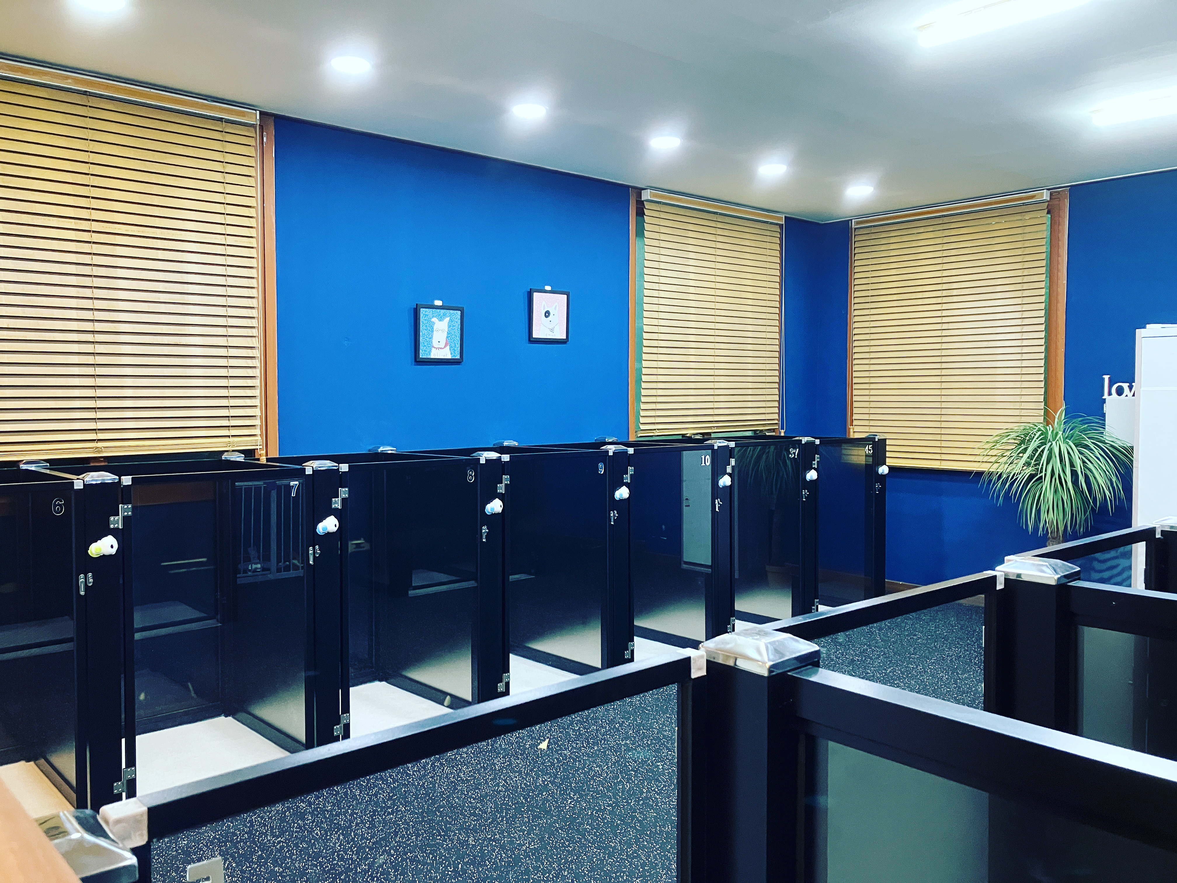 지지밍고 대표 이미지