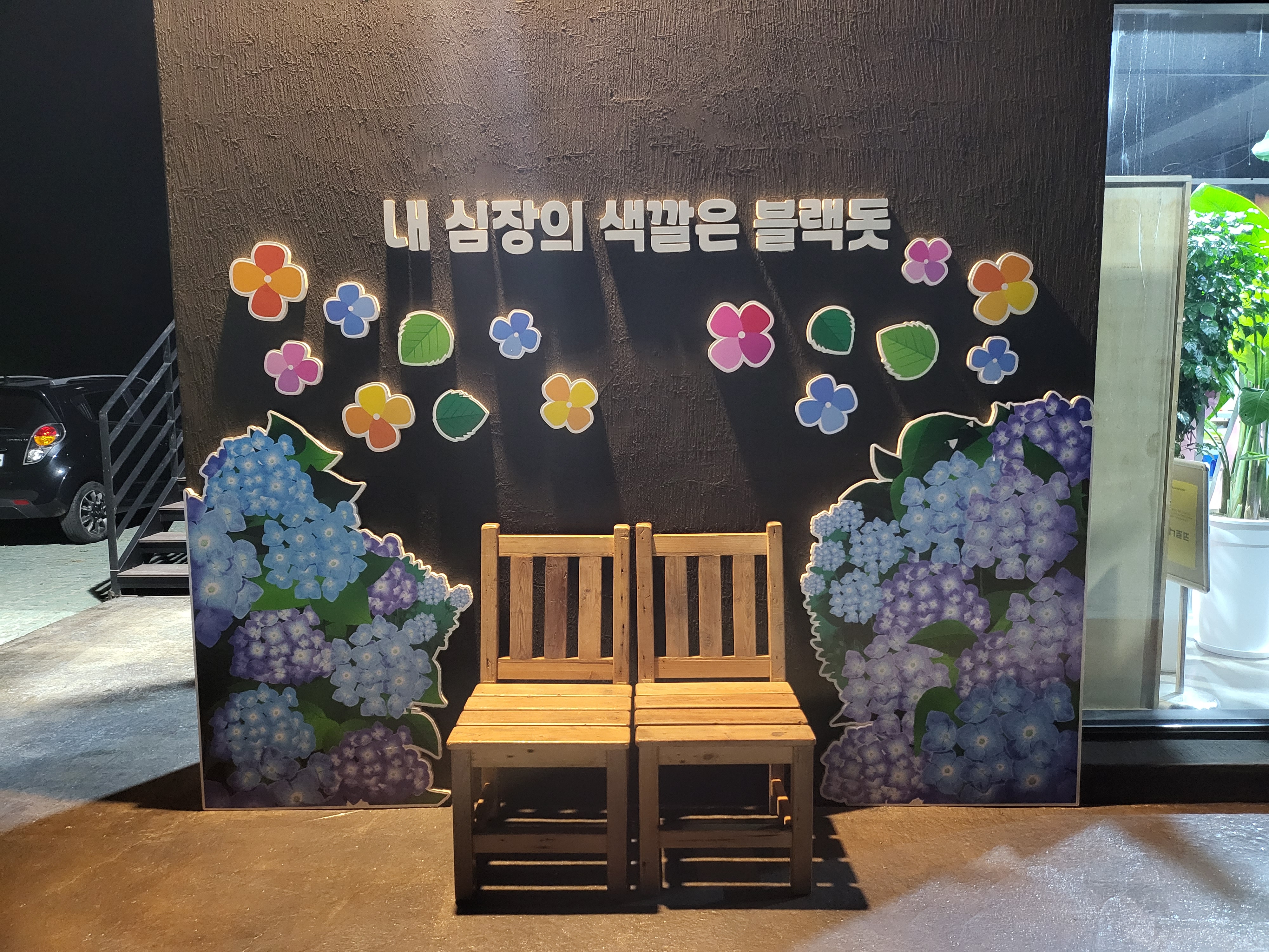 블랙돗