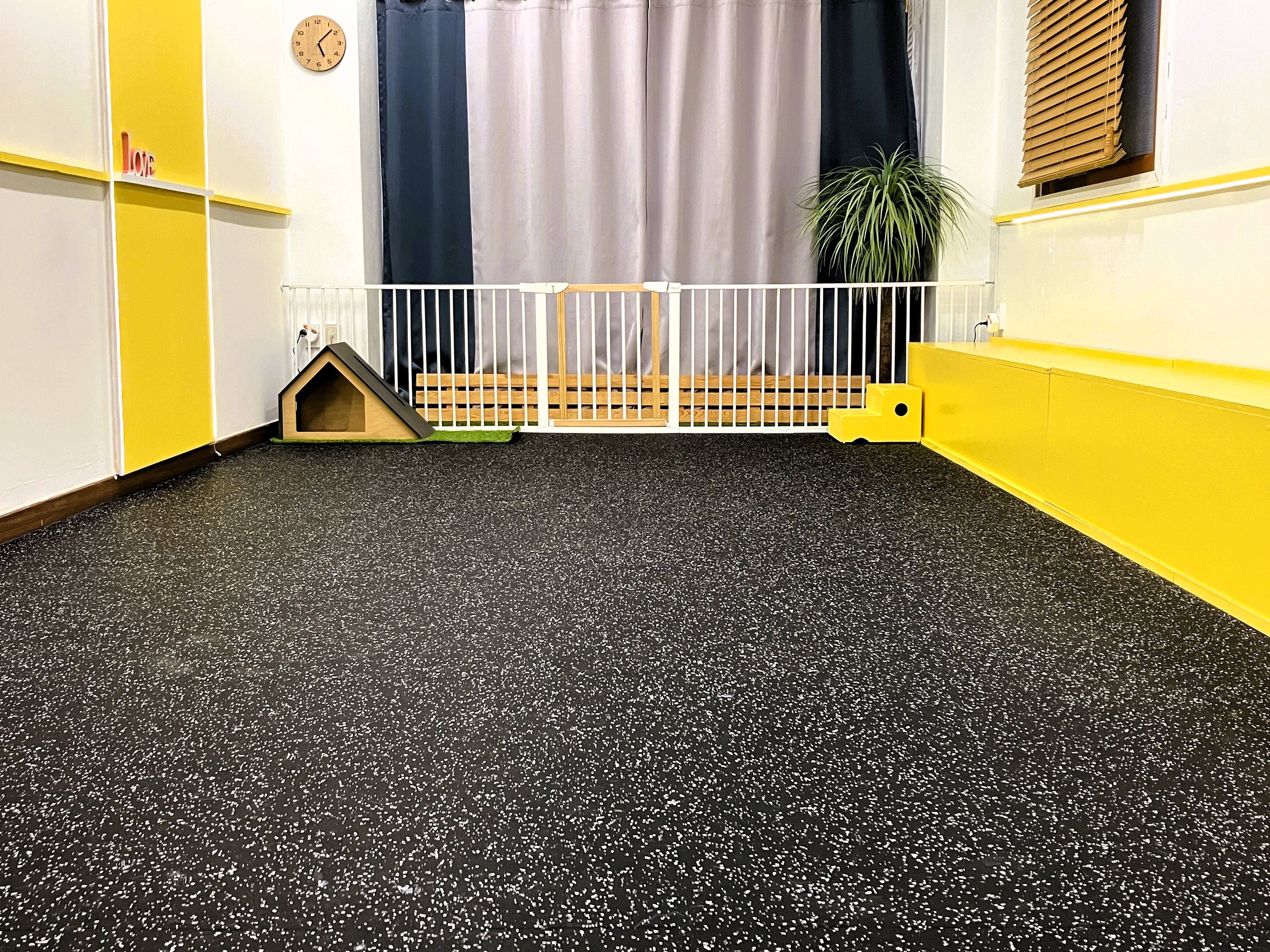 애견호텔 지지밍고 대표 이미지