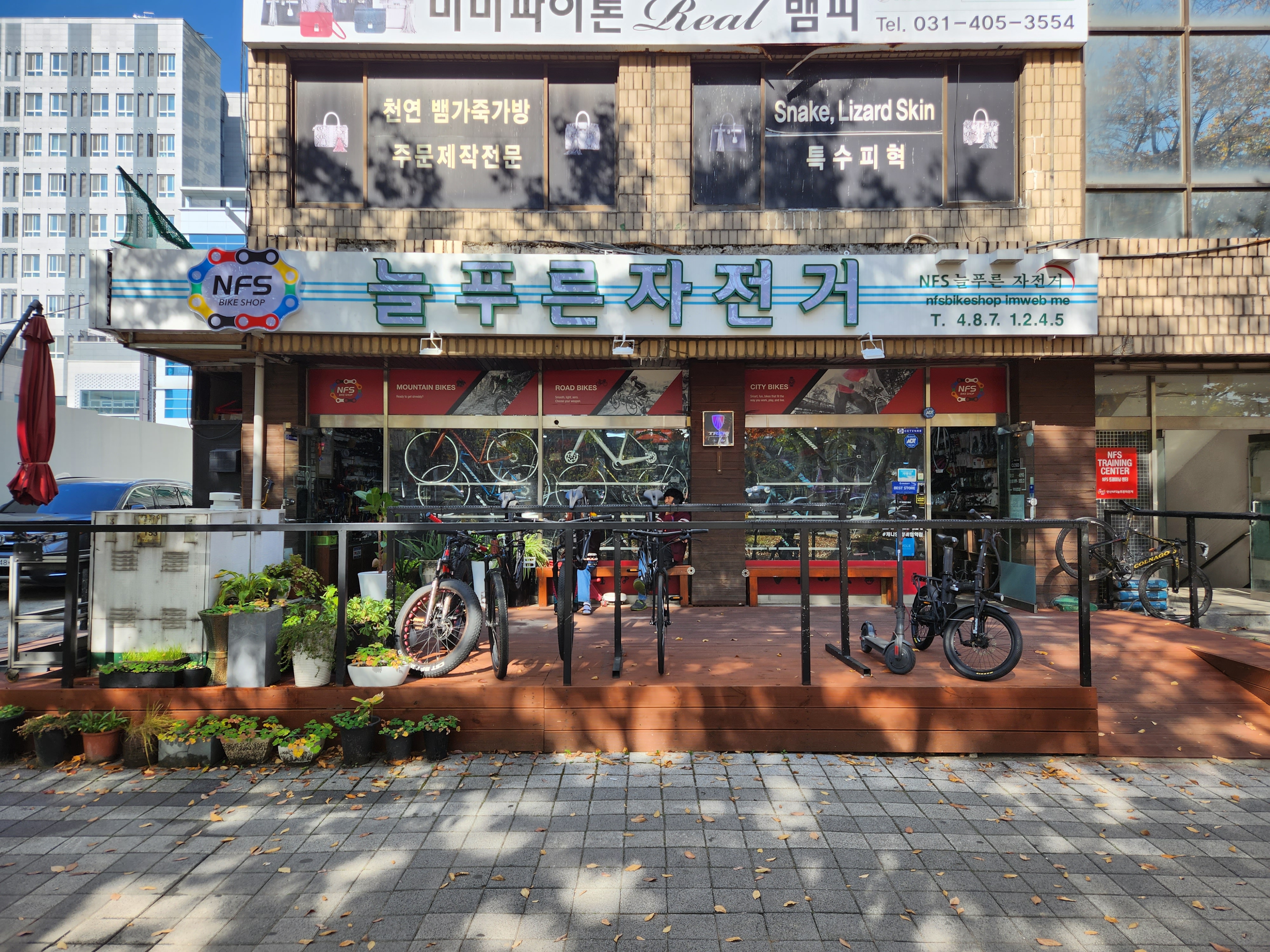 NFS늘푸른자전거