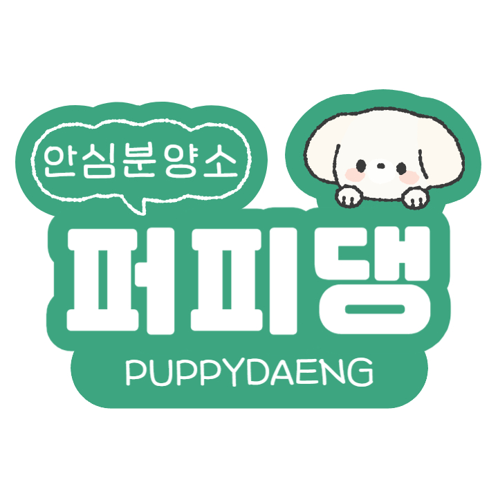 대전고양이분양 퍼피댕 캣 안심분양소 둔산점