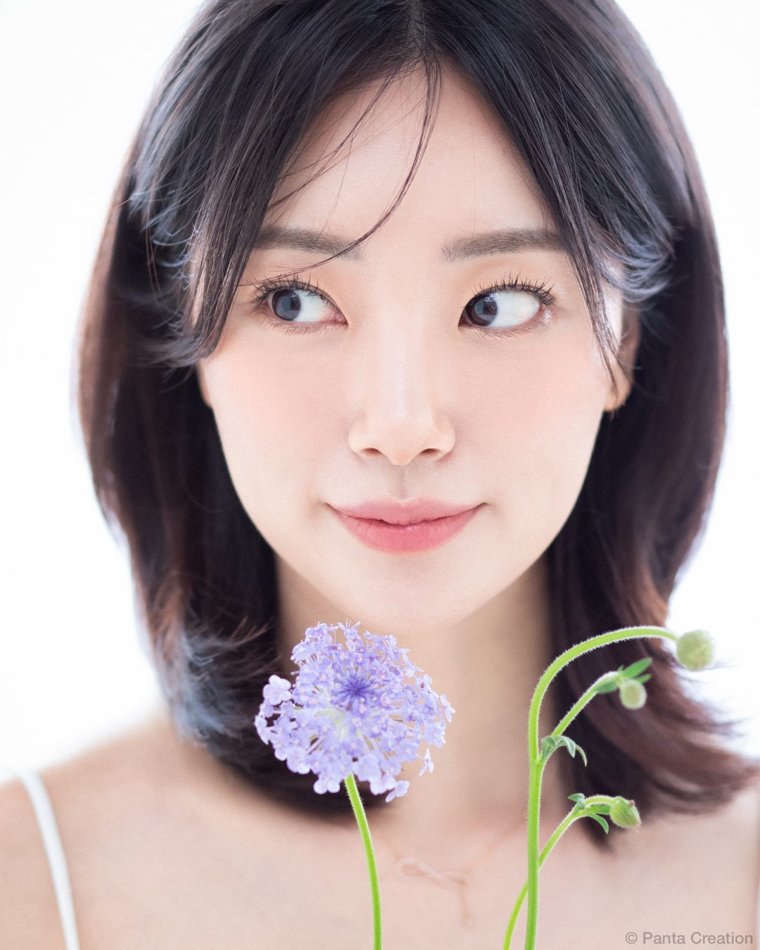 판타 크리에이션
