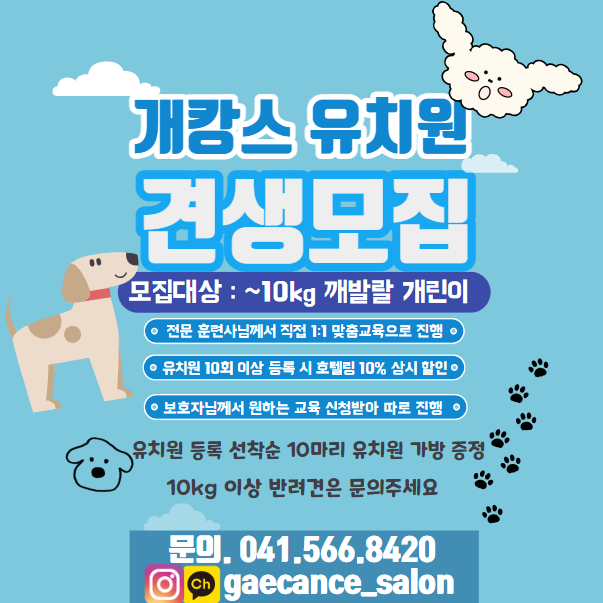 개캉스살롱 4