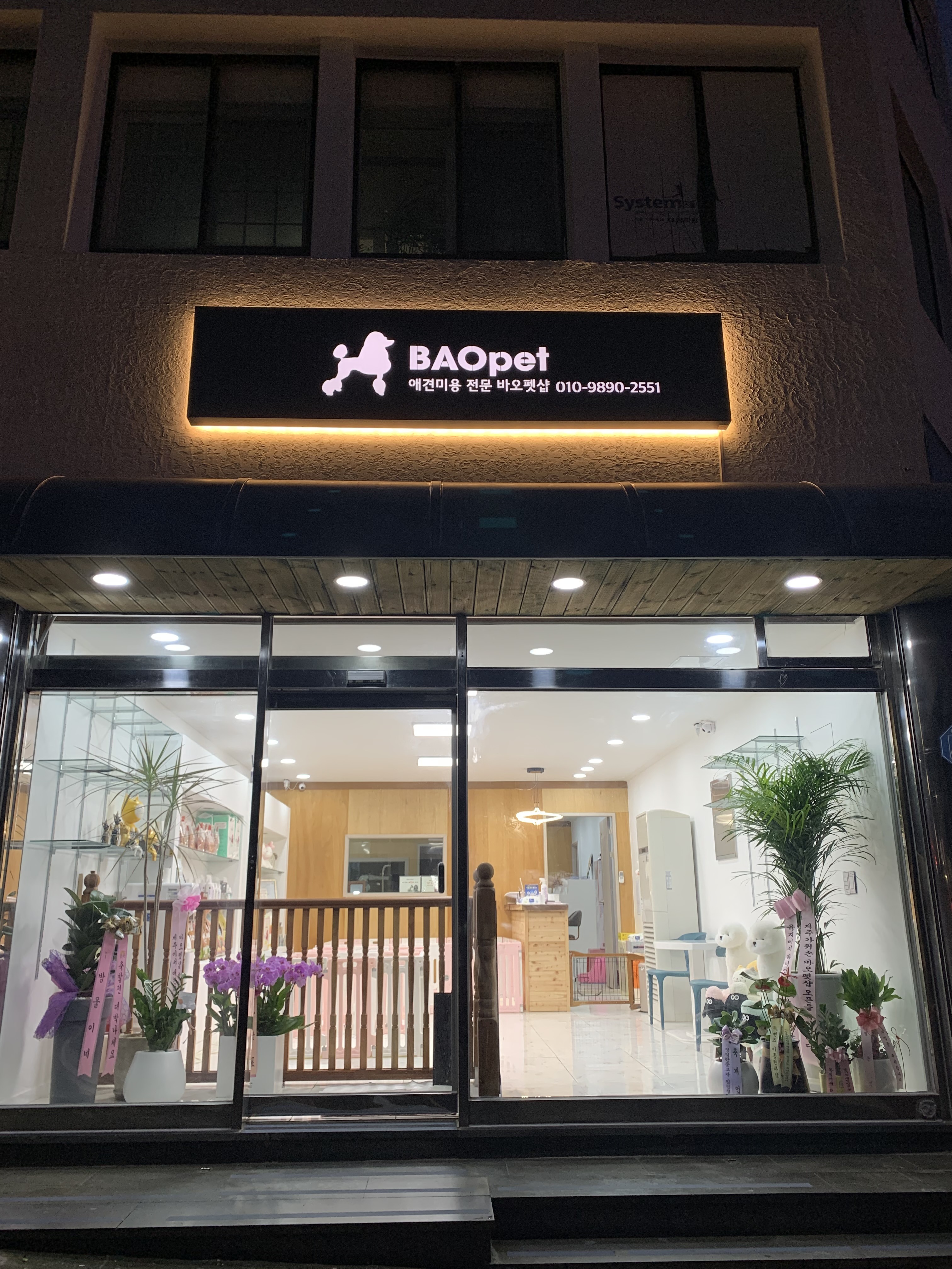 바오펫샵 대표 이미지