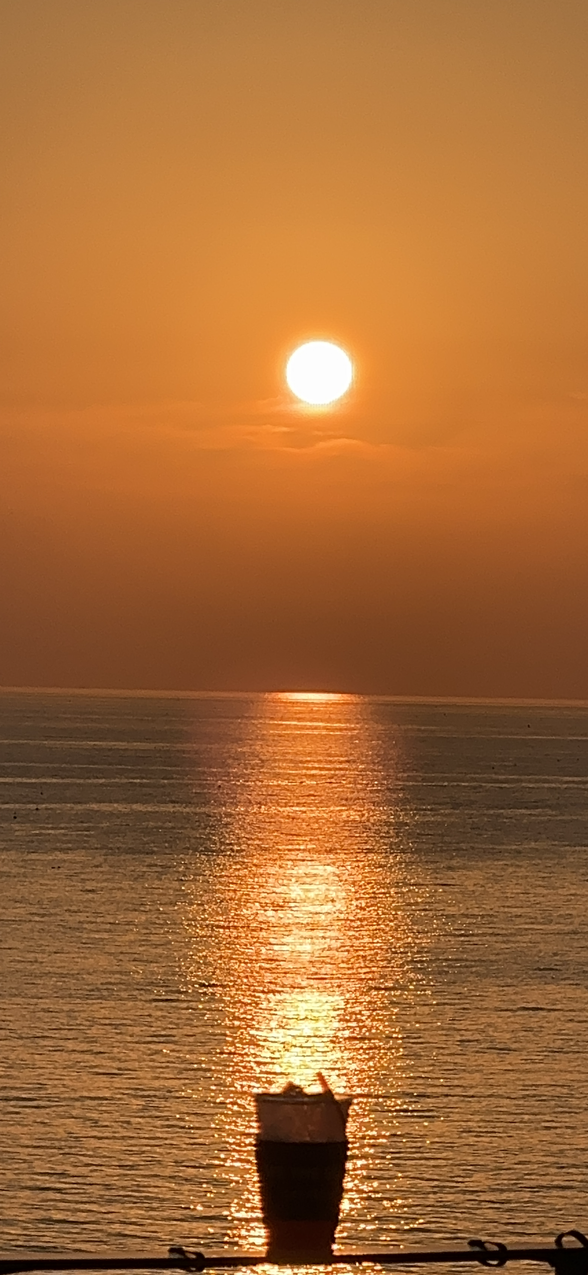 씨더씨