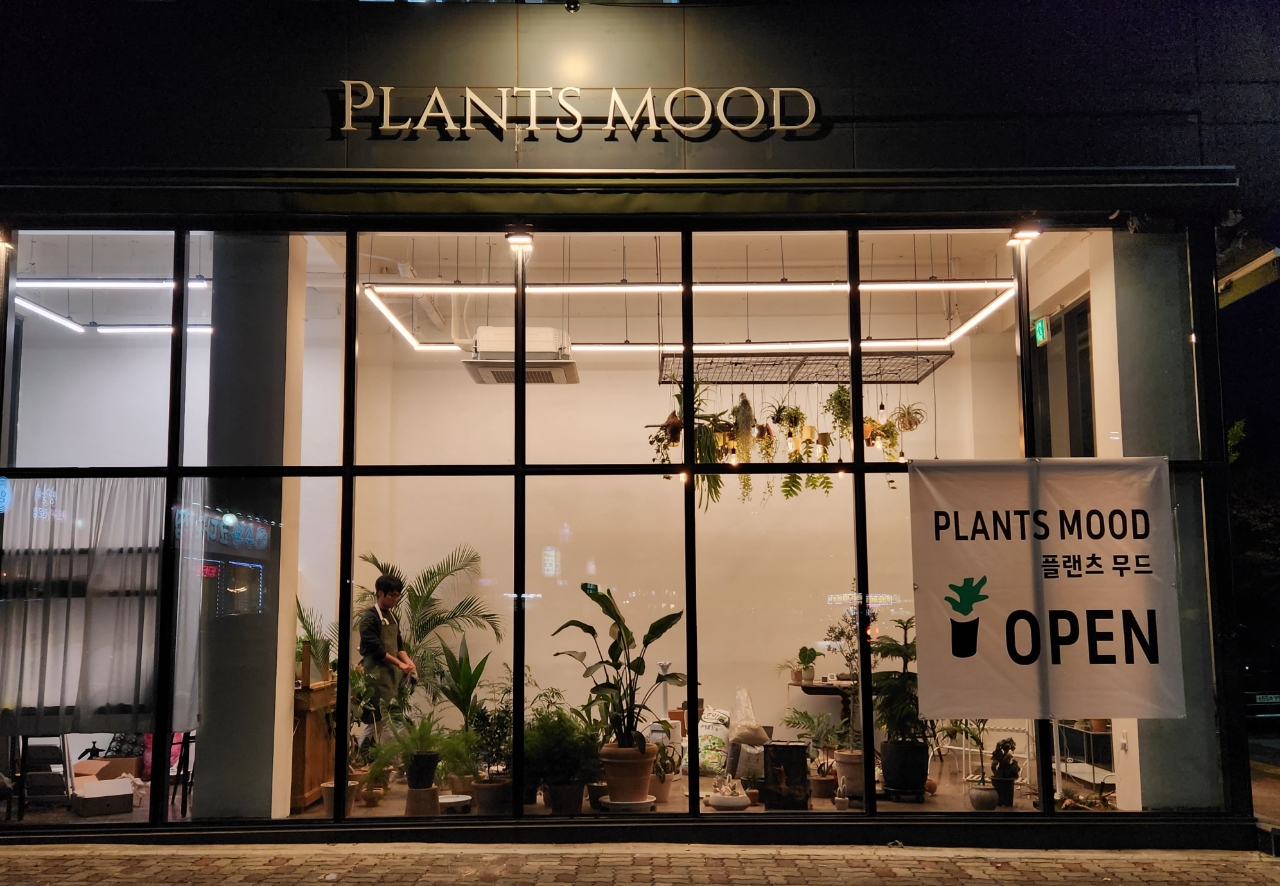 플랜츠무드