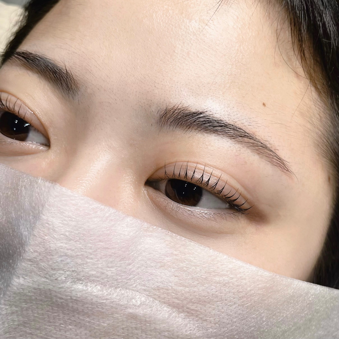 로운라인