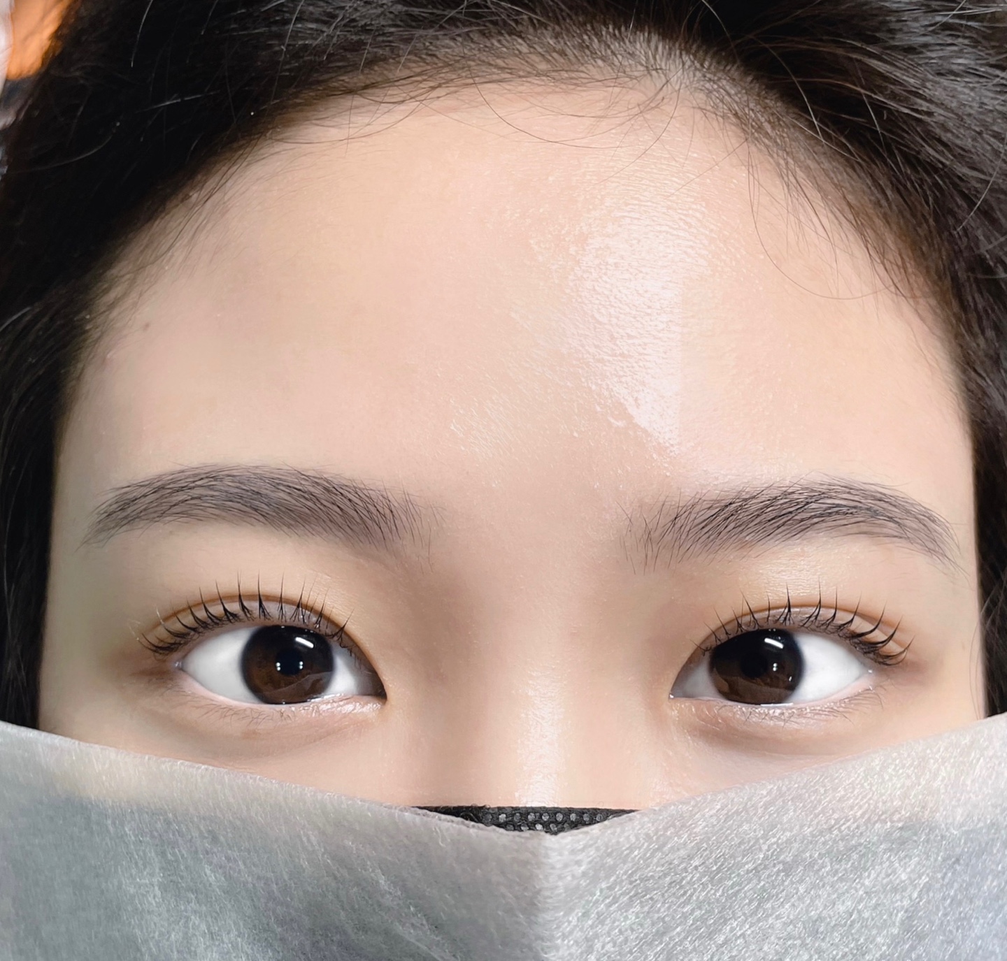 로운라인