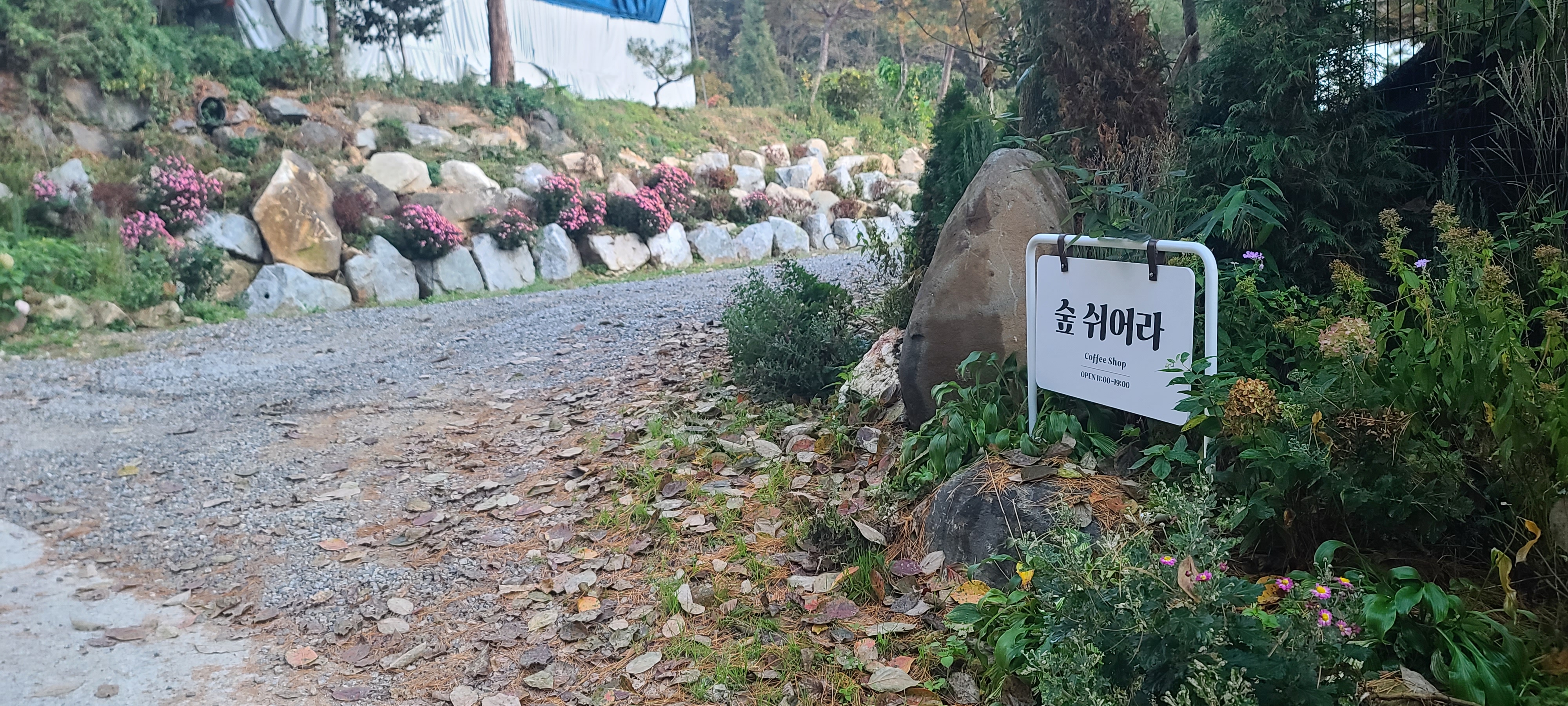 숲쉬어라