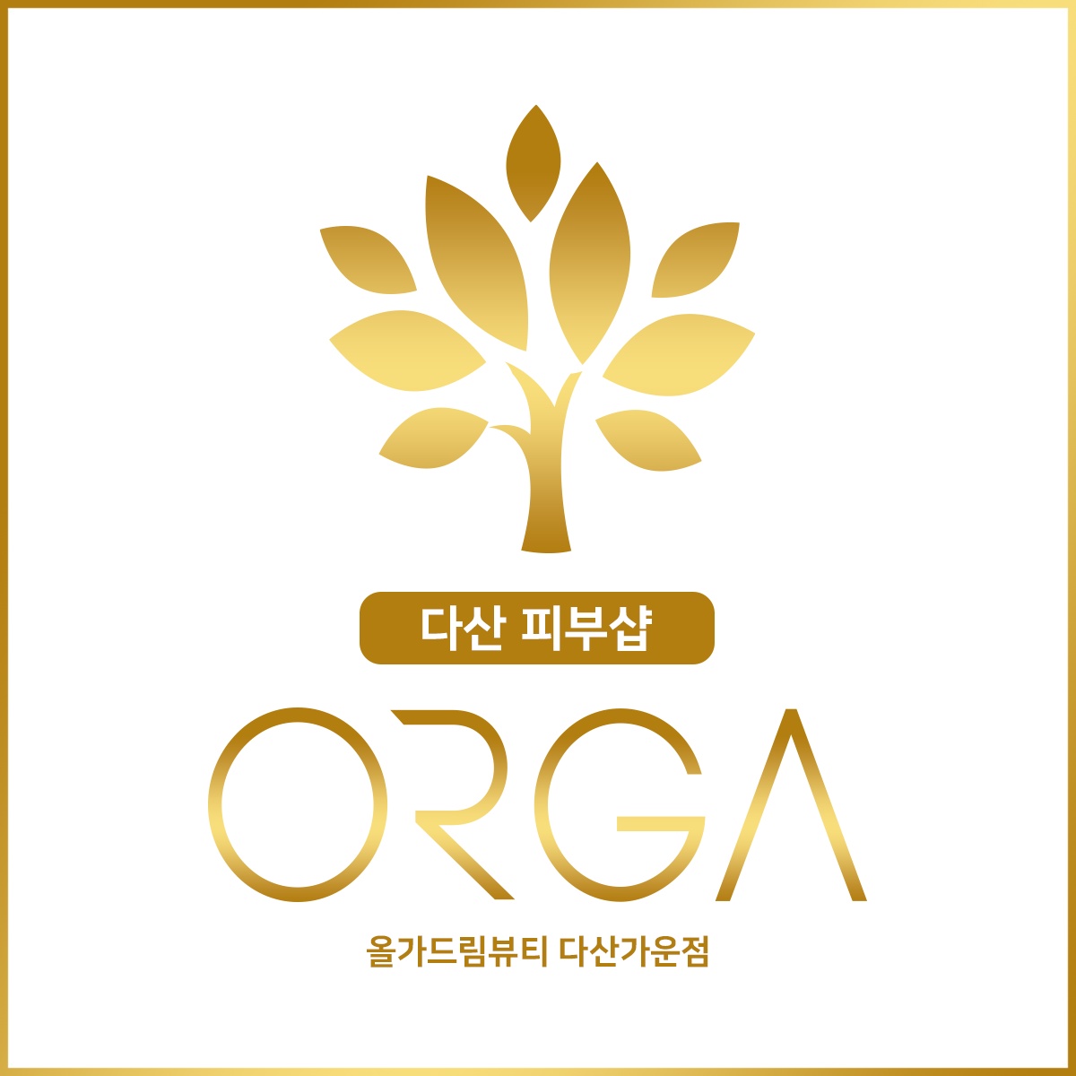 올가드림뷰티 다산가운점