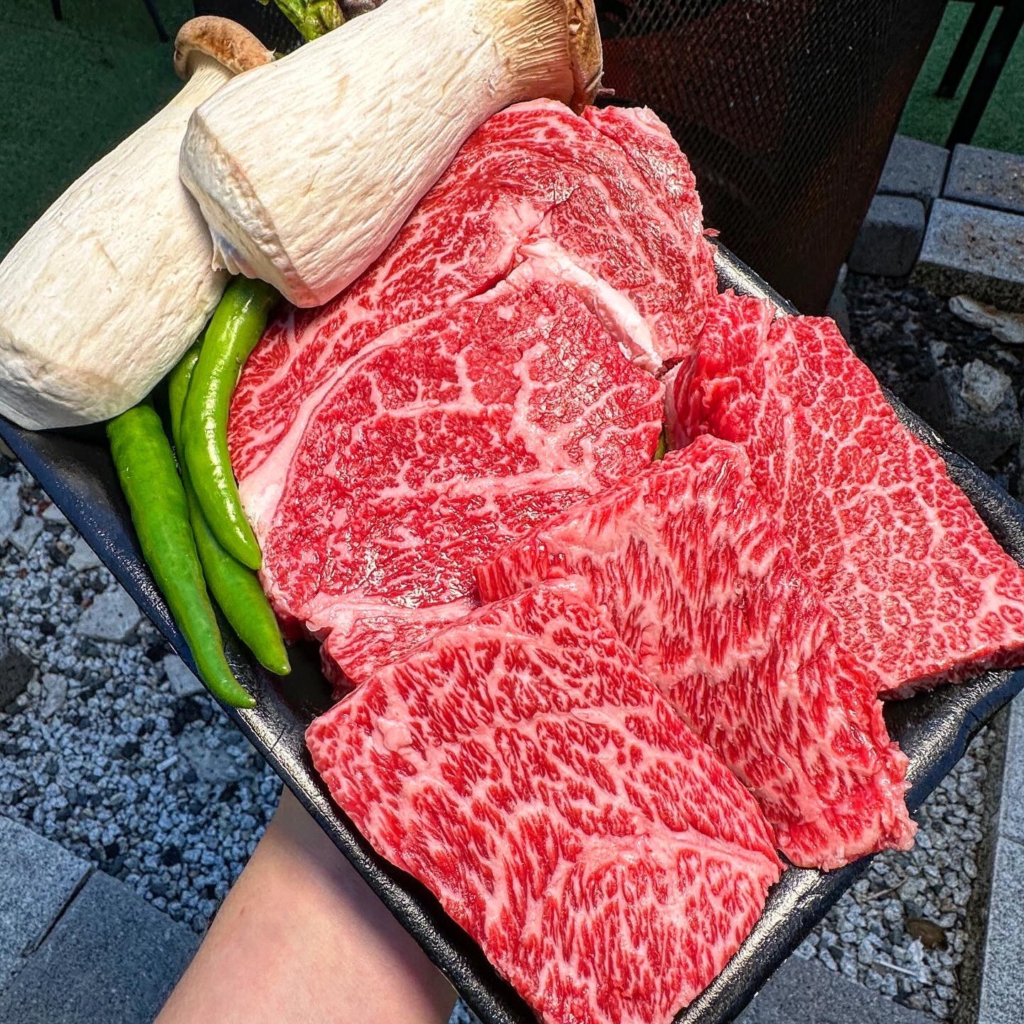 횡성고향한우식당 강원 애견맛집