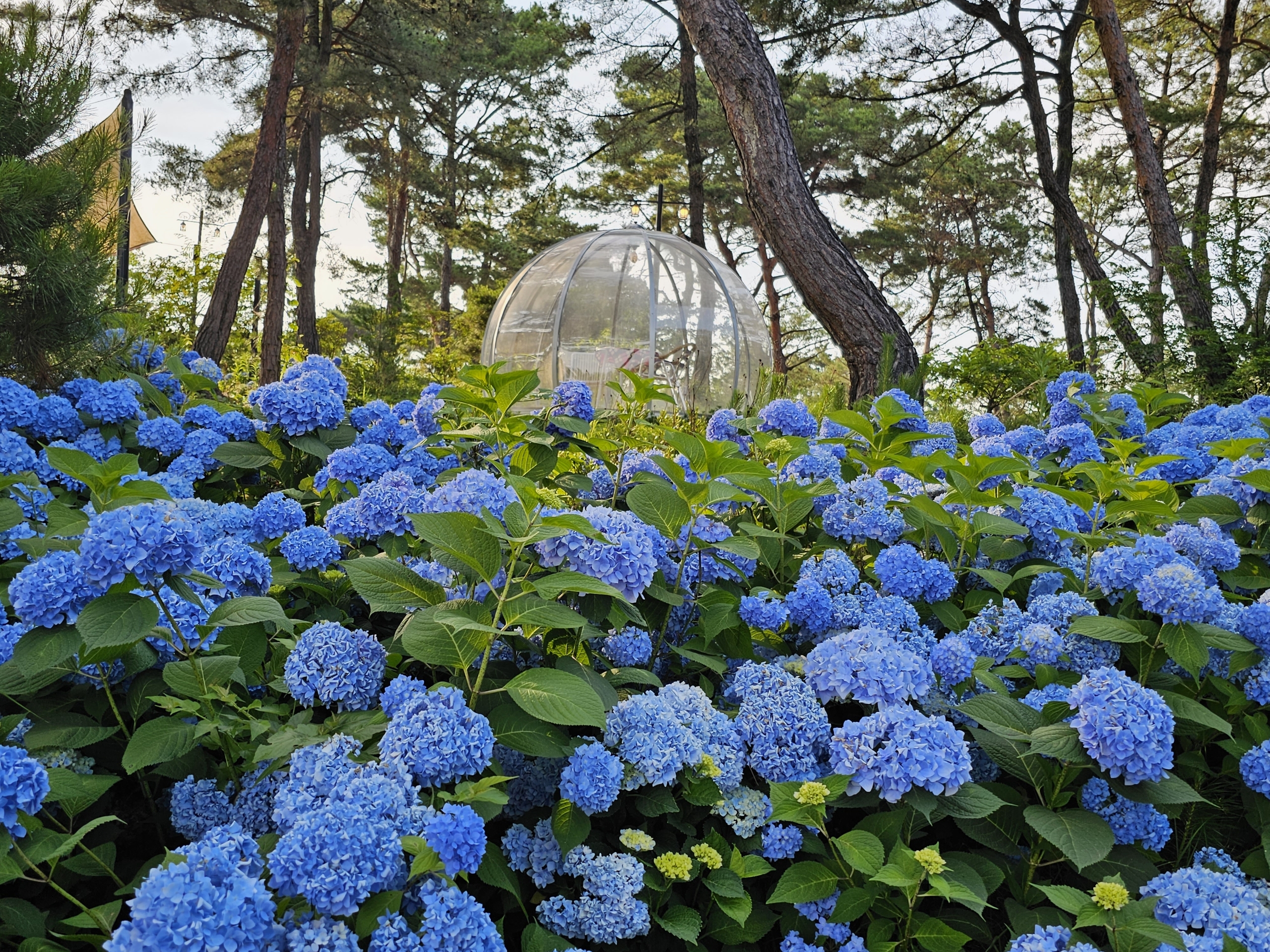 카페비채 2
