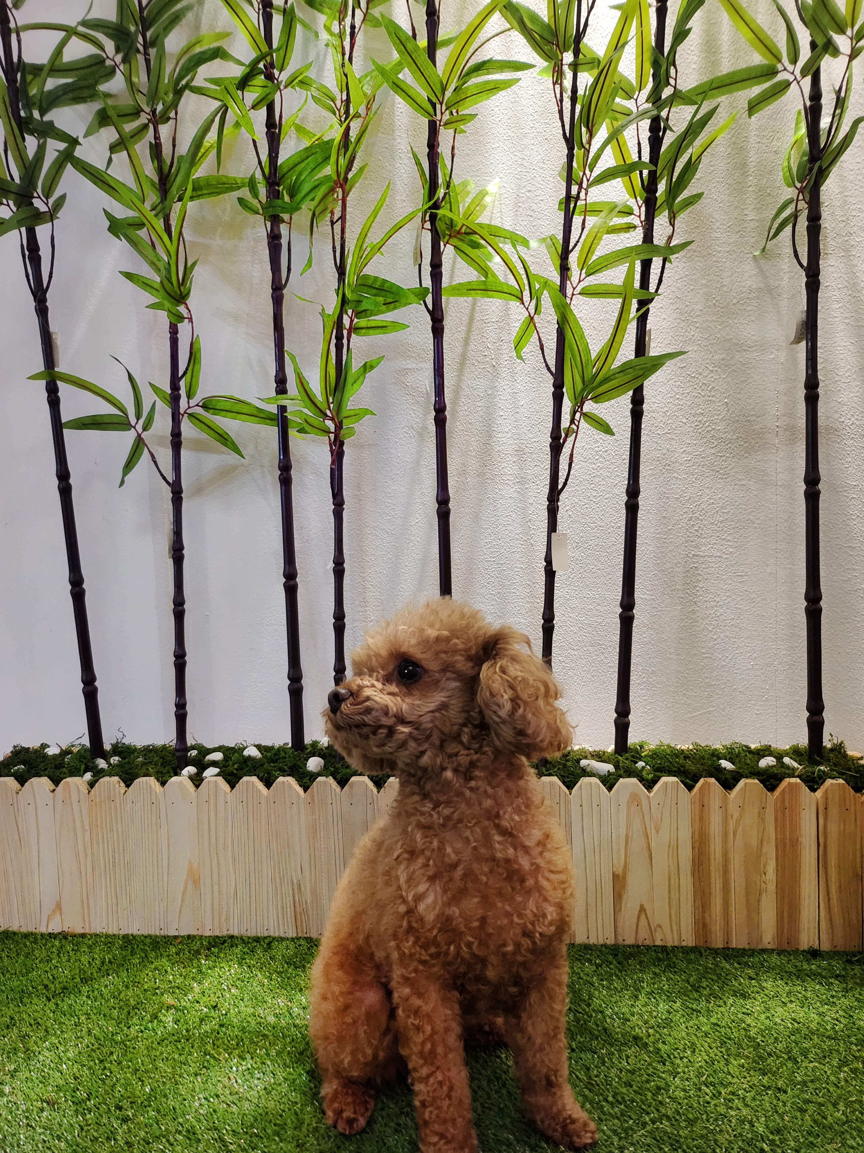 힙댕 대표 이미지