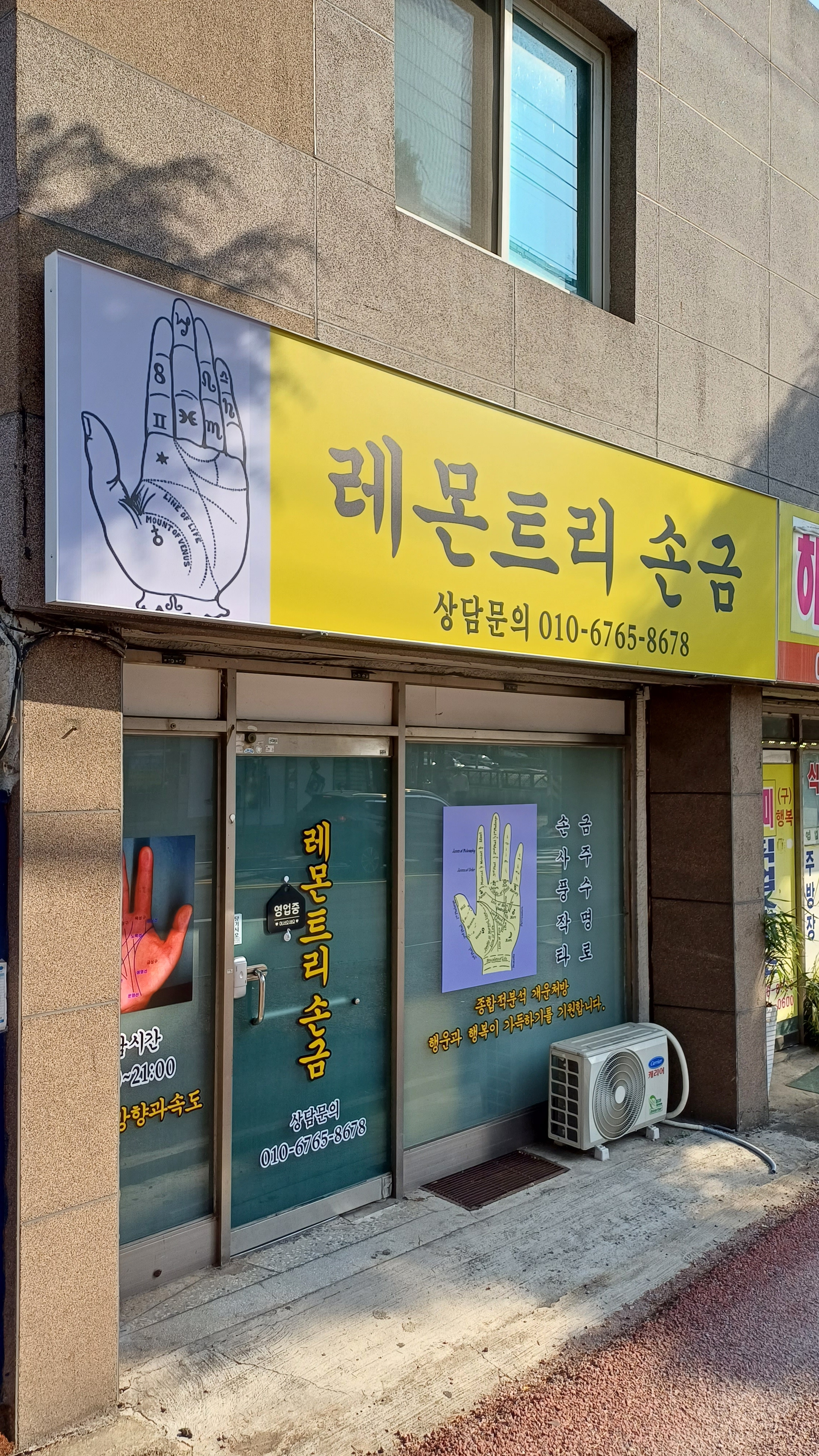레몬트리손금