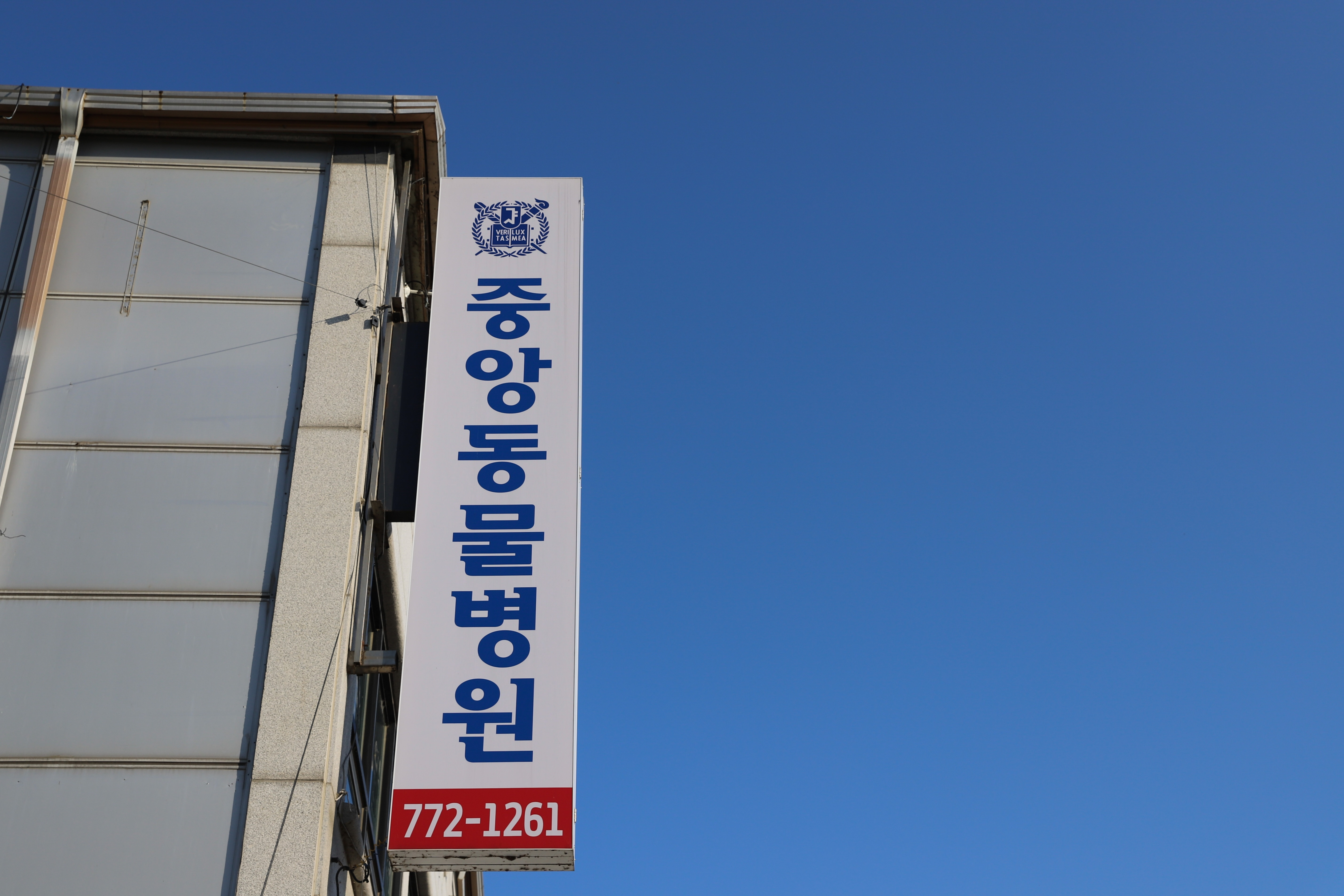 중앙동물병원