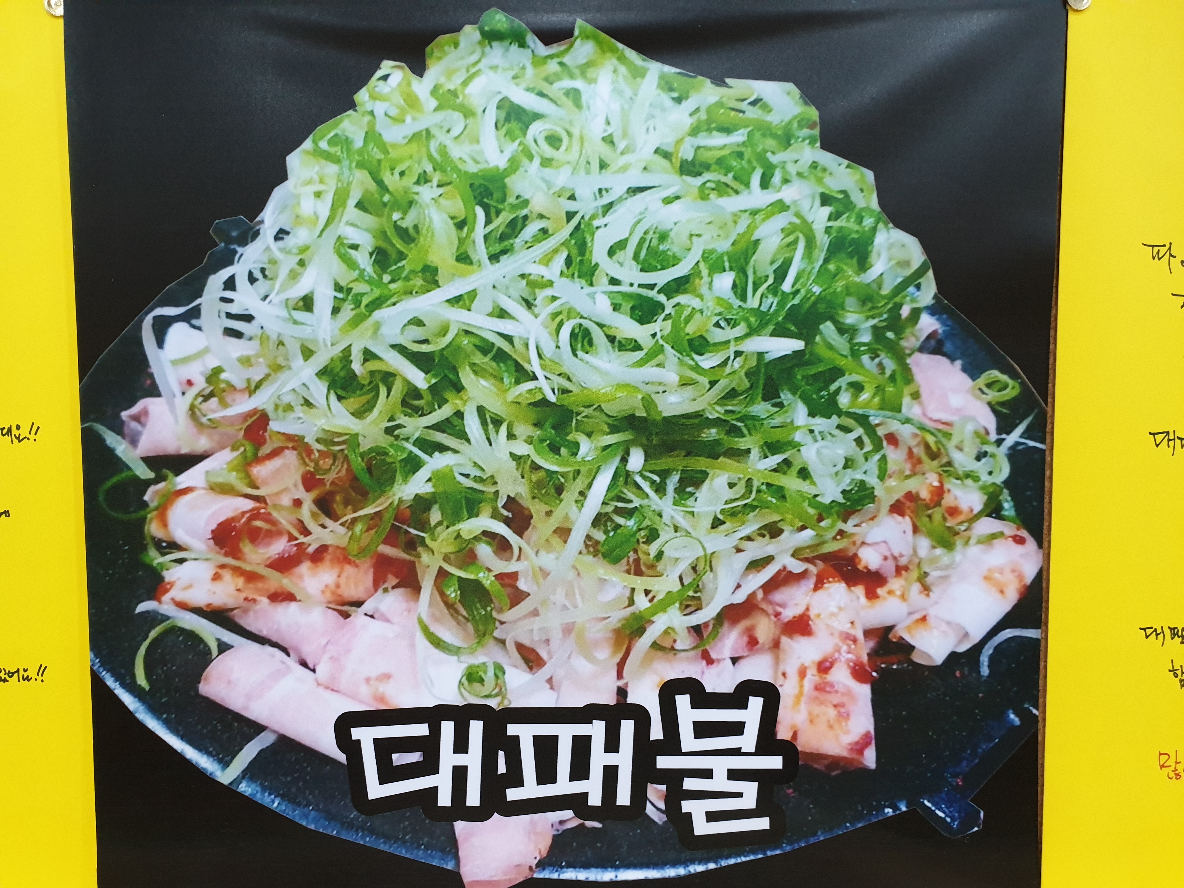 김여사네대패불