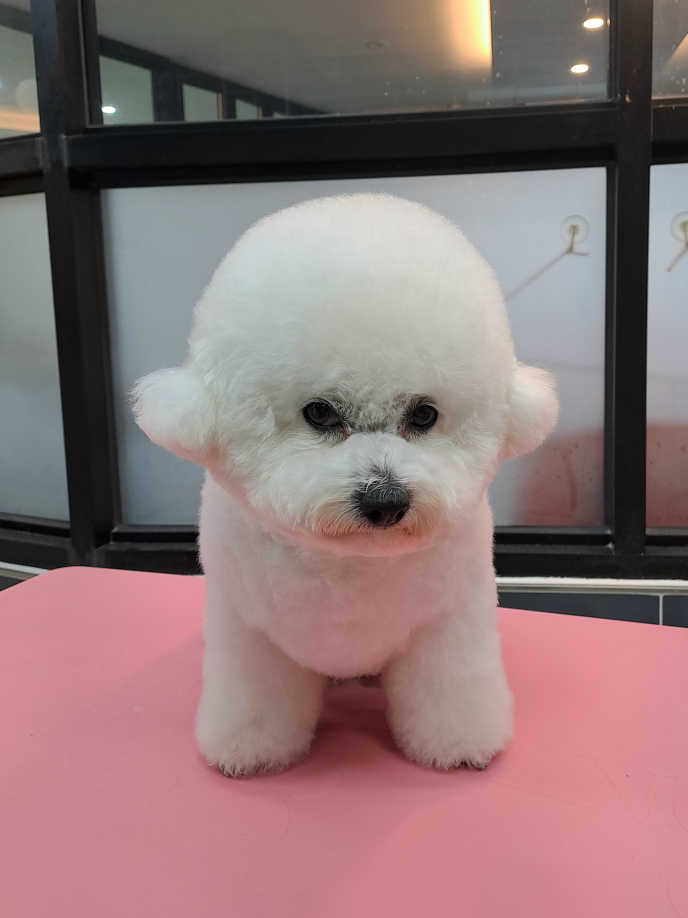 뽁식당 부천점 3