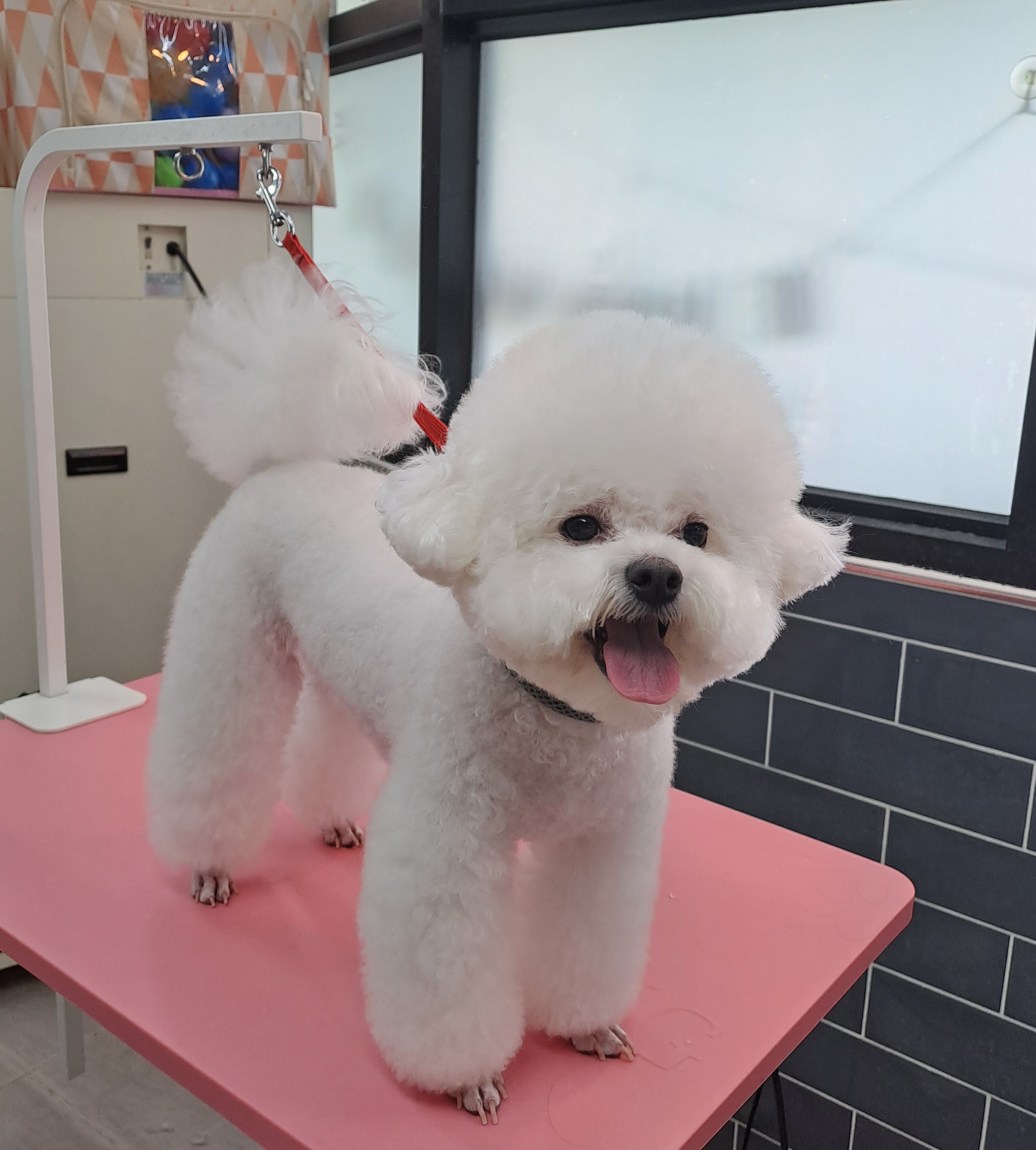 한터별빛펜션 7