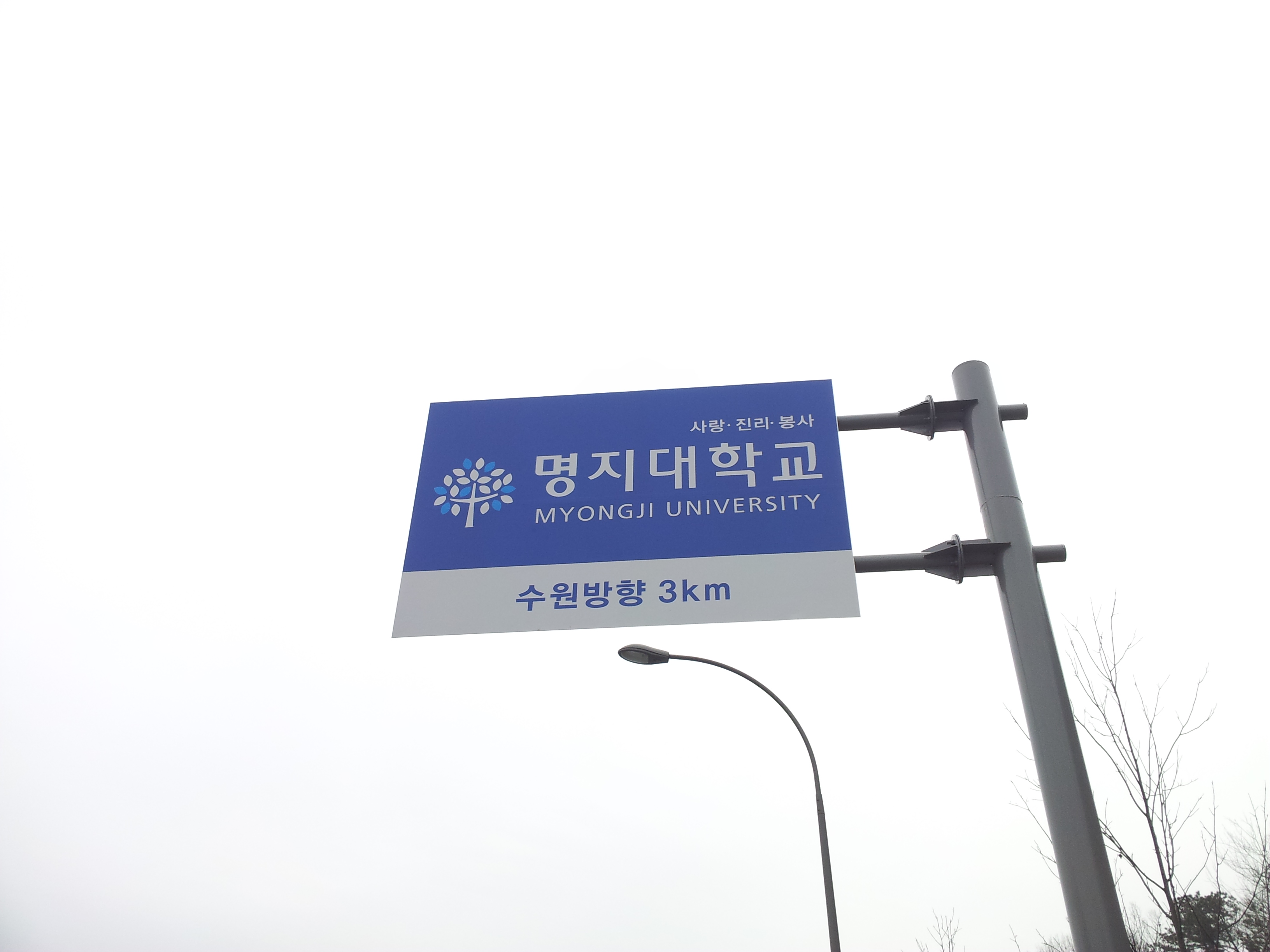 세신광고