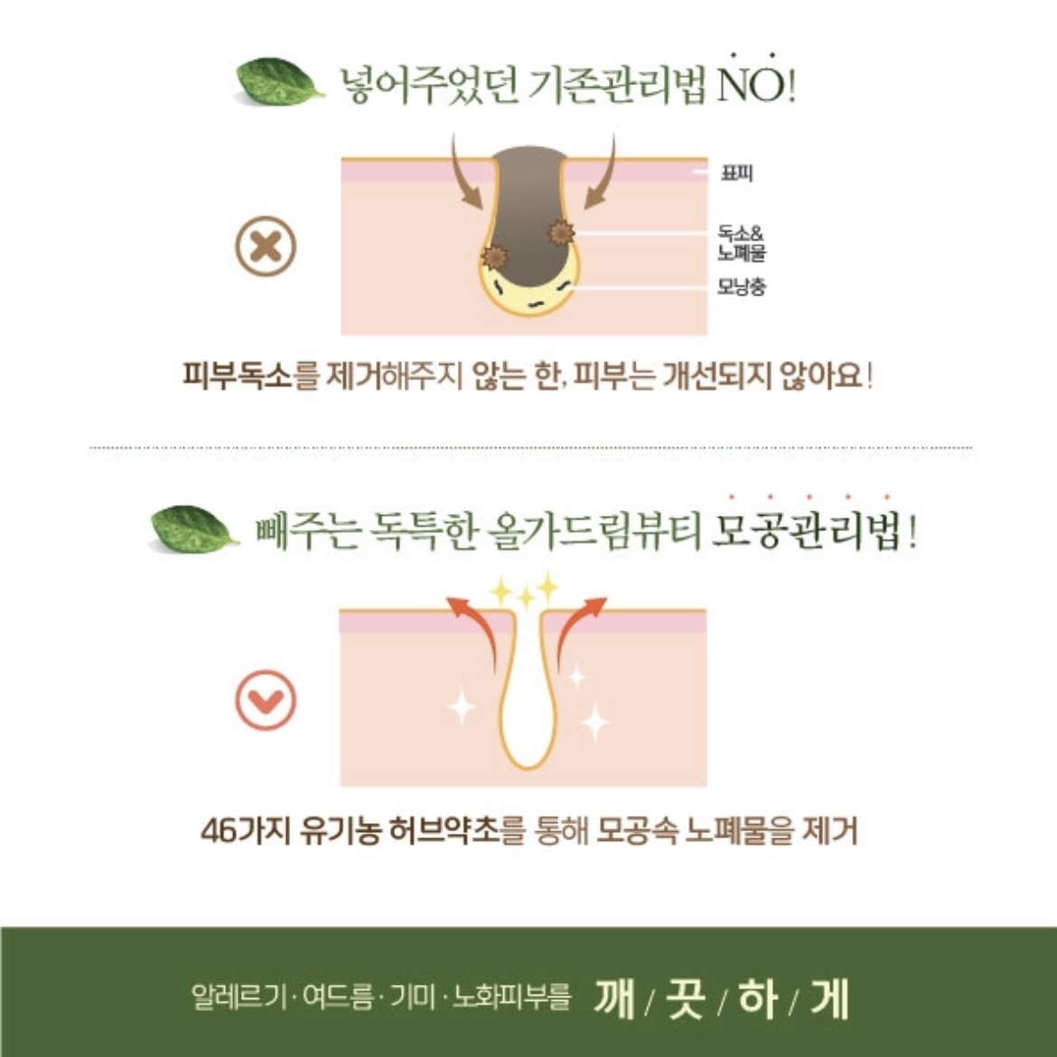 올가드림뷰티 다산가운점