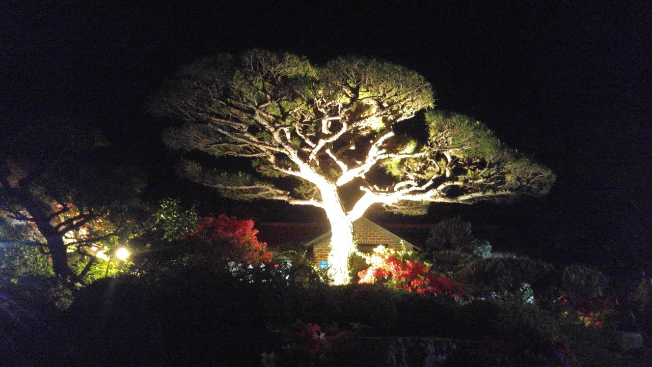 동우조경