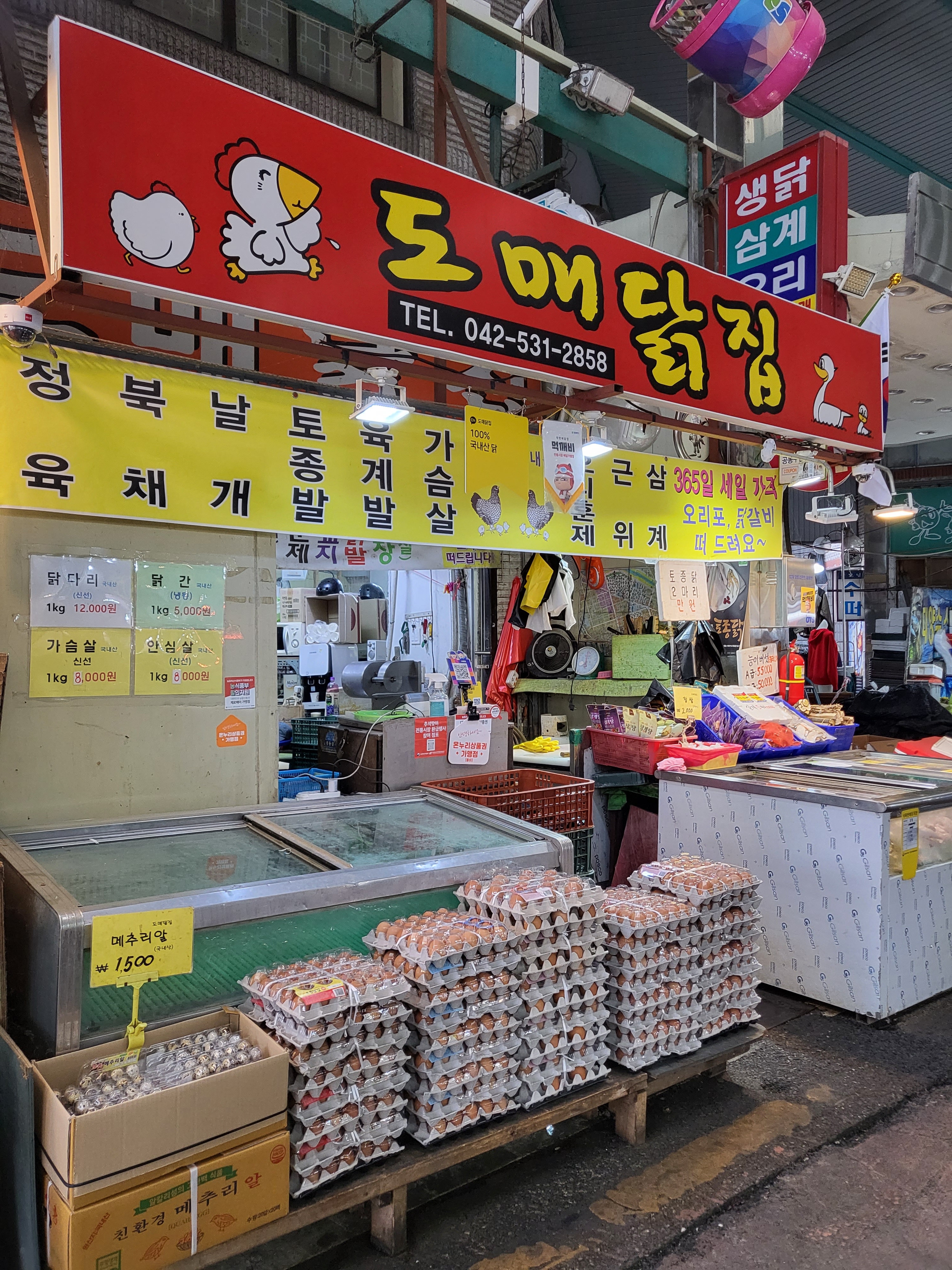 도매닭집