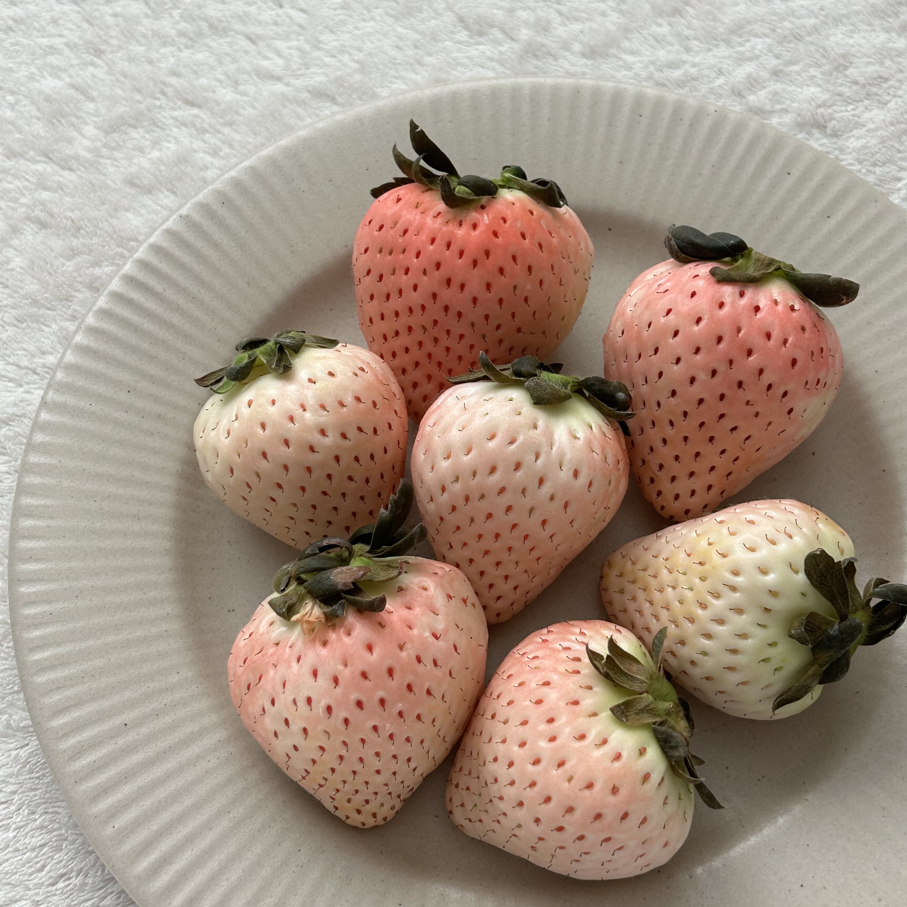 라프룻