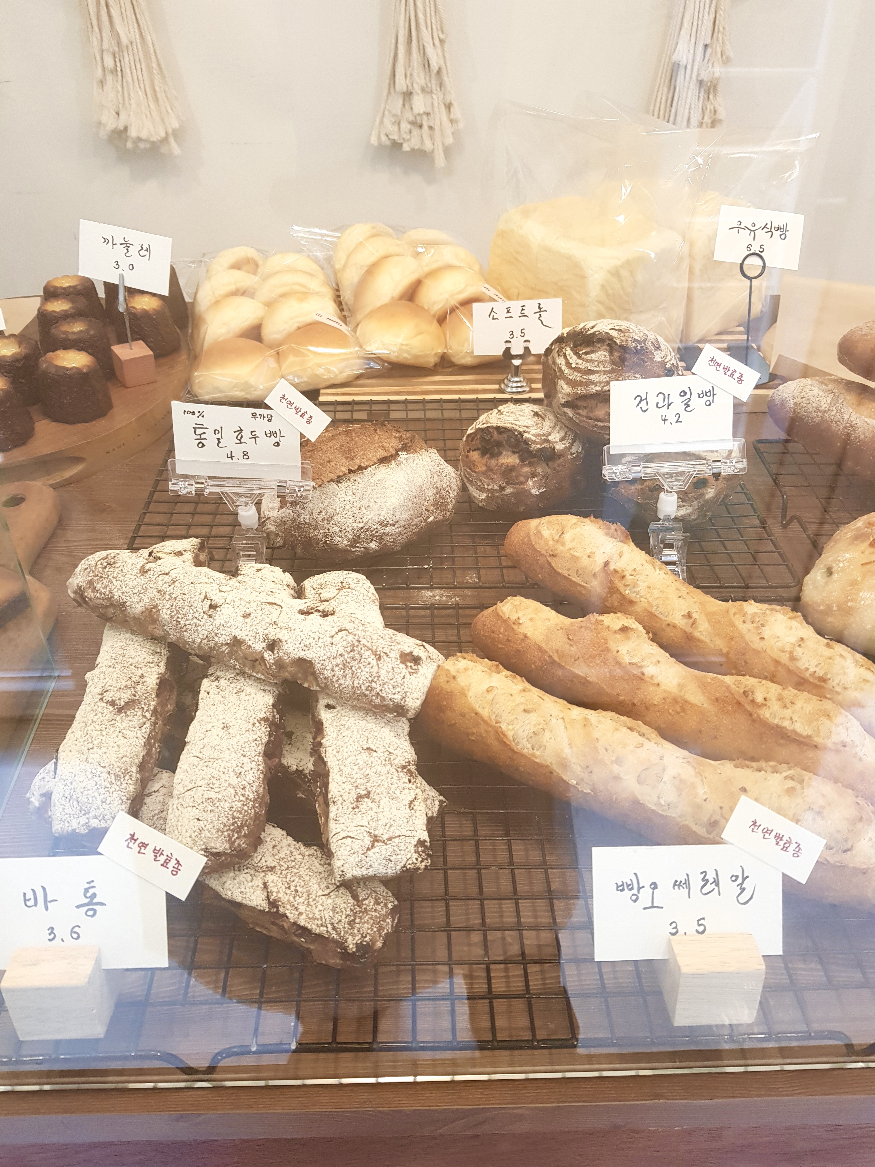 흐쎄트
