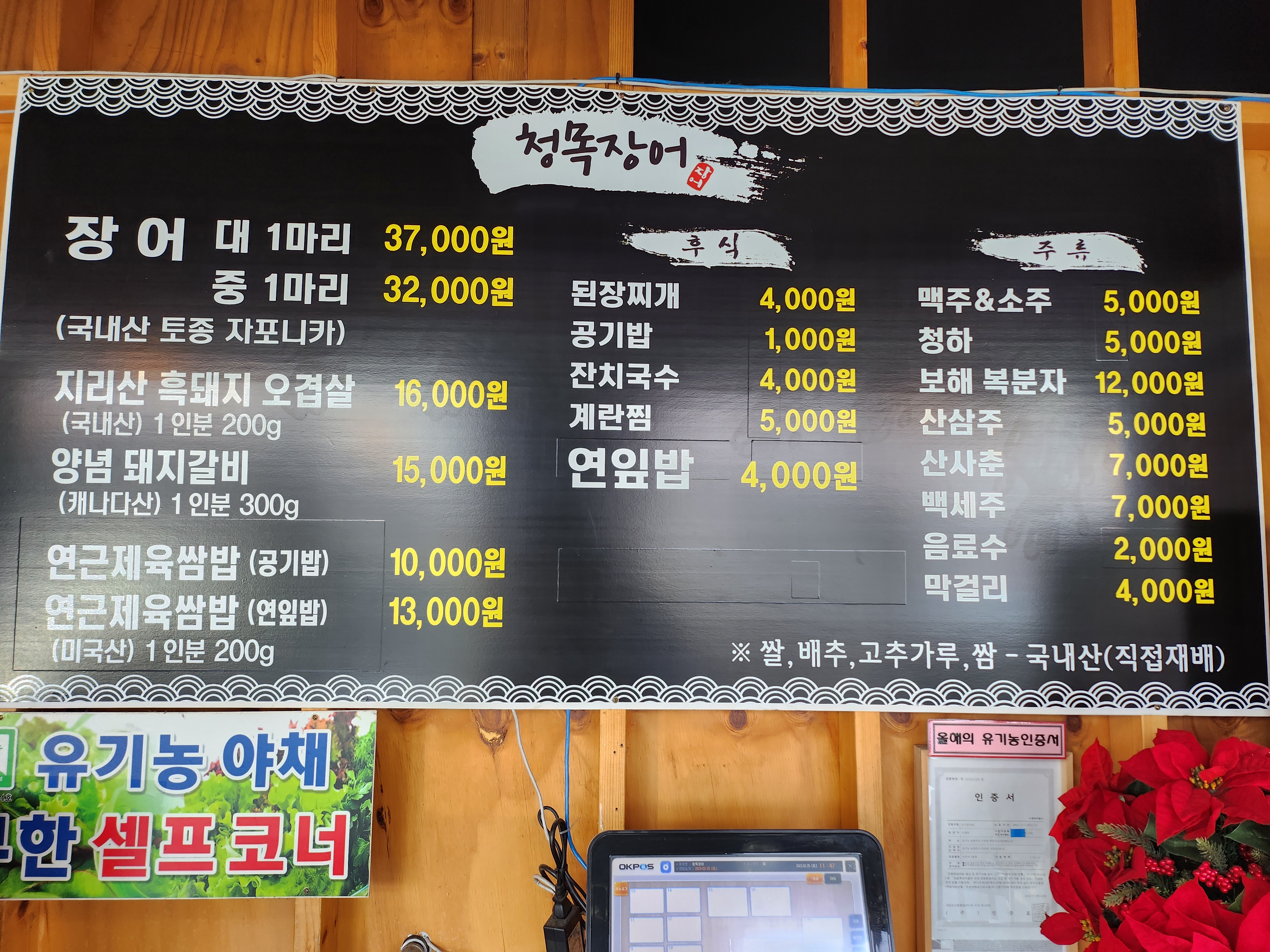 청목장어
