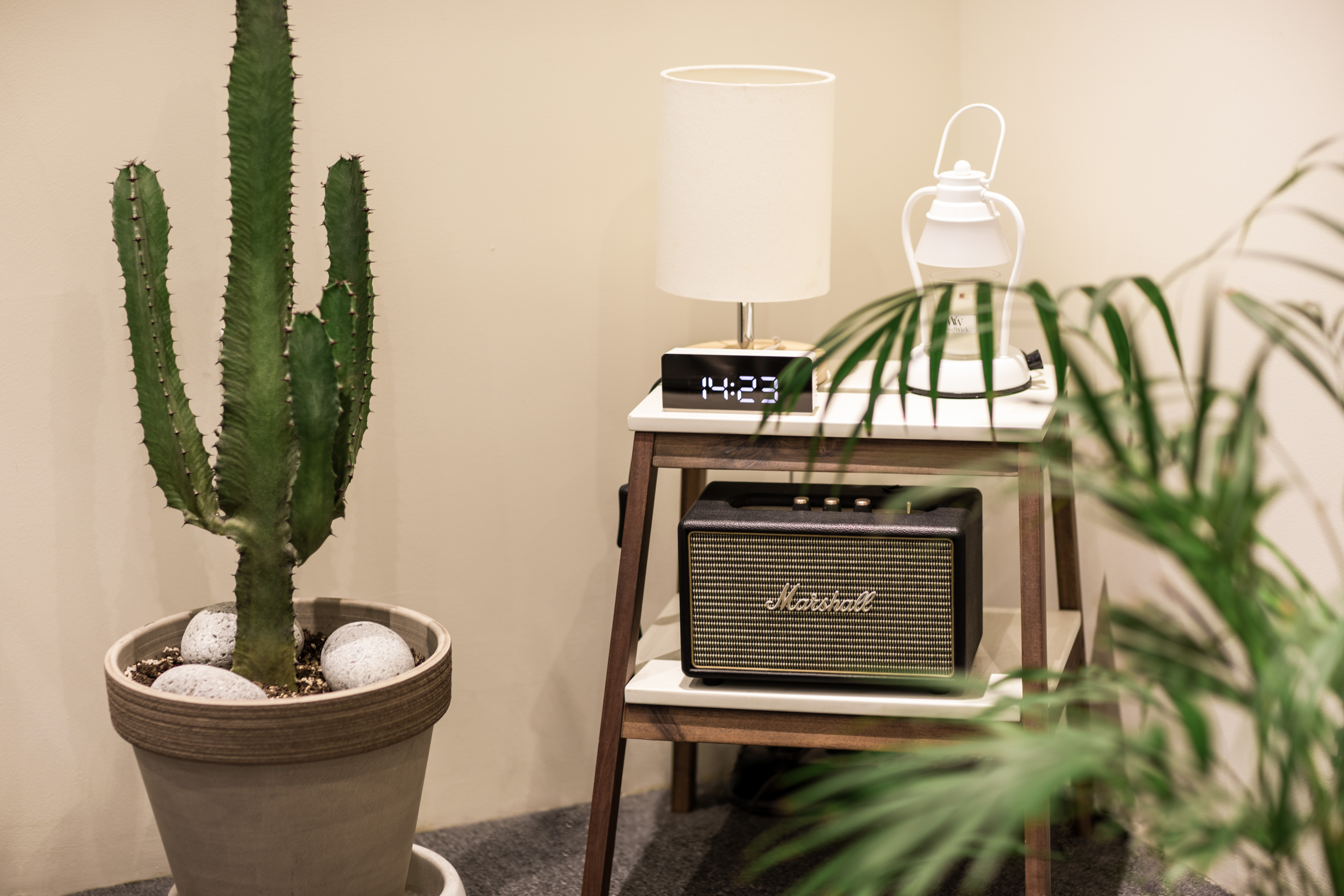 씨에스티얼라인 대표 이미지