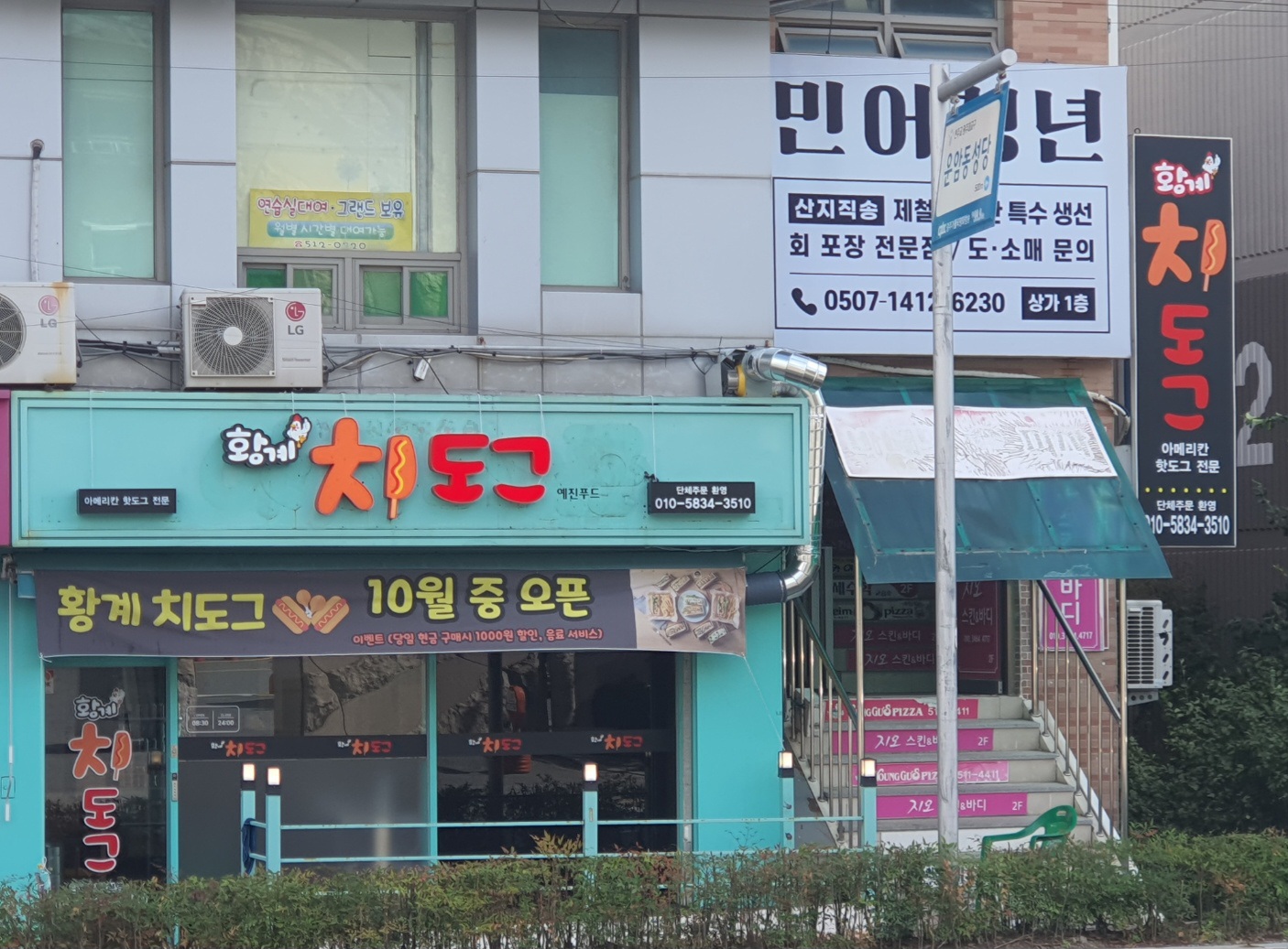 황계치도그