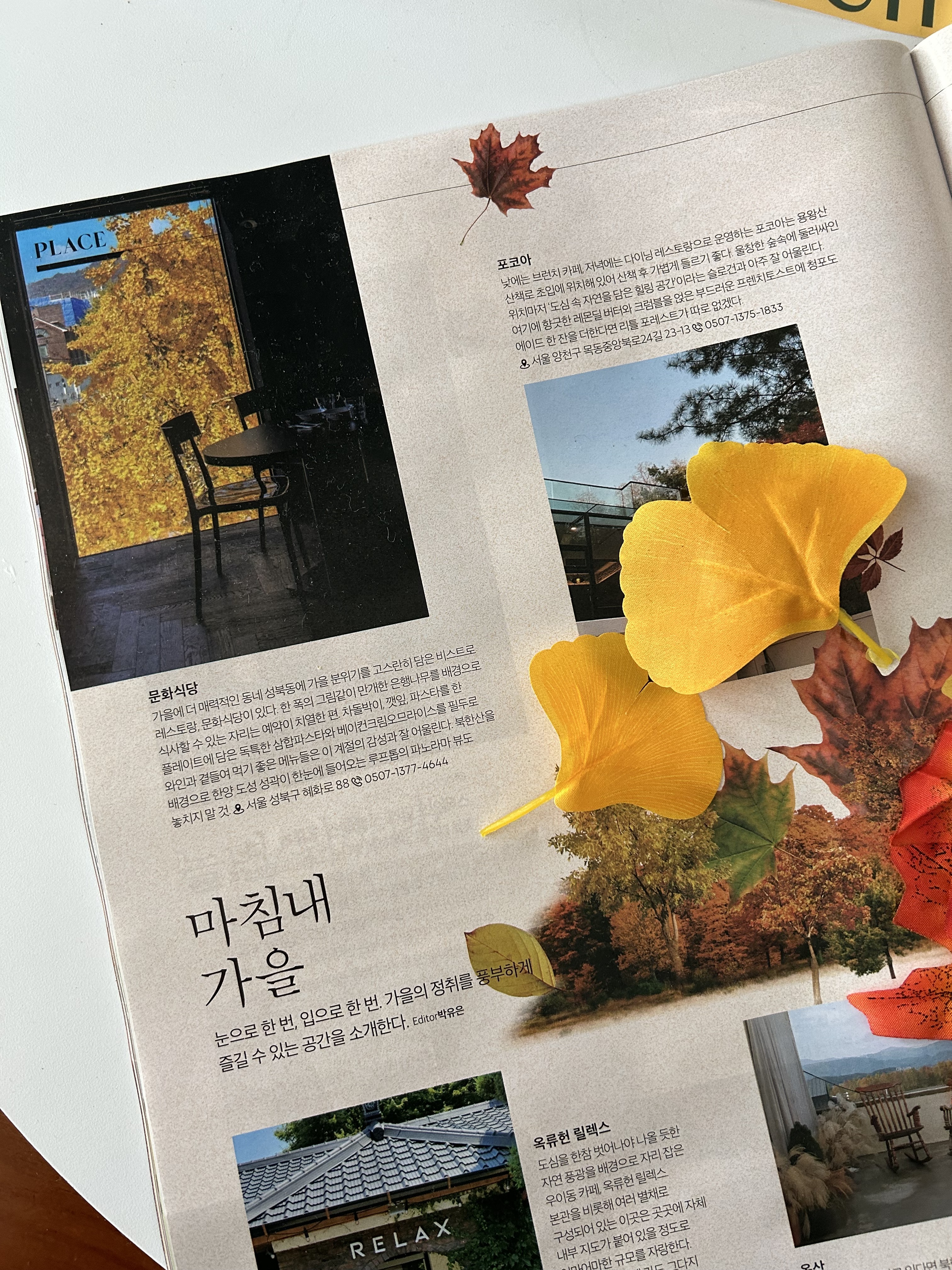 문화식당 대표 이미지