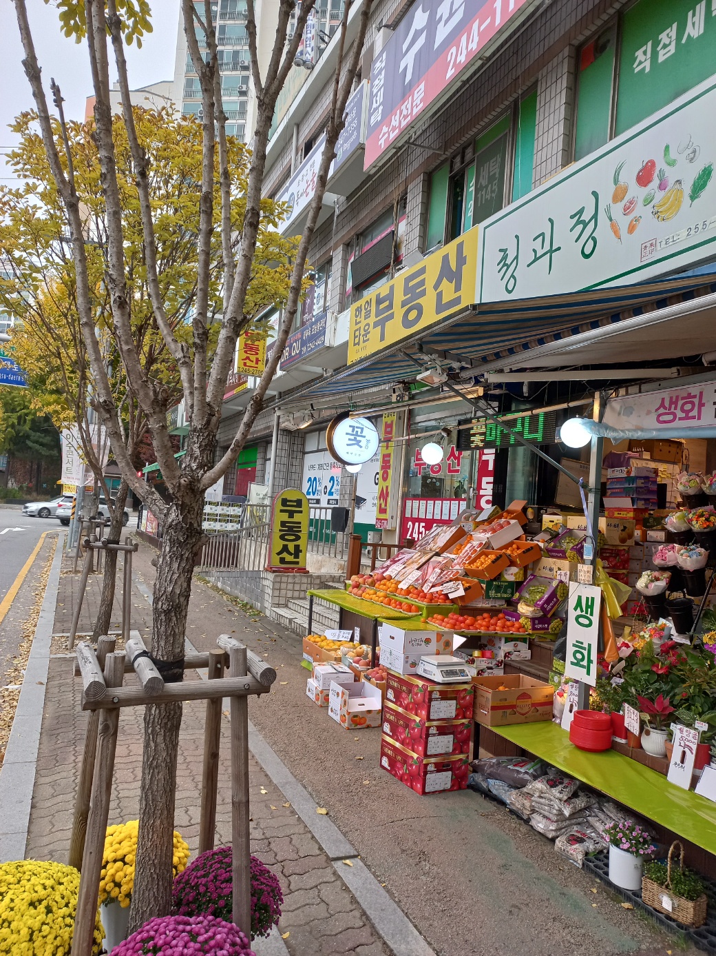 청과정